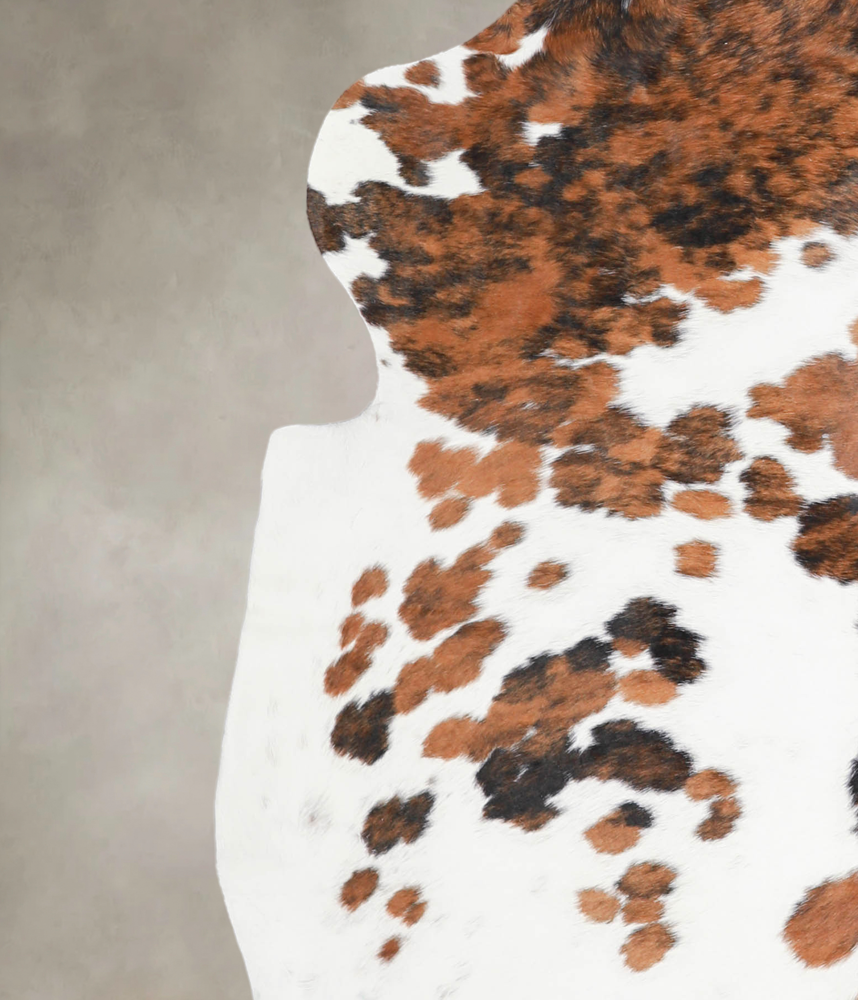 Tricolor Cowhide Rug #A27176