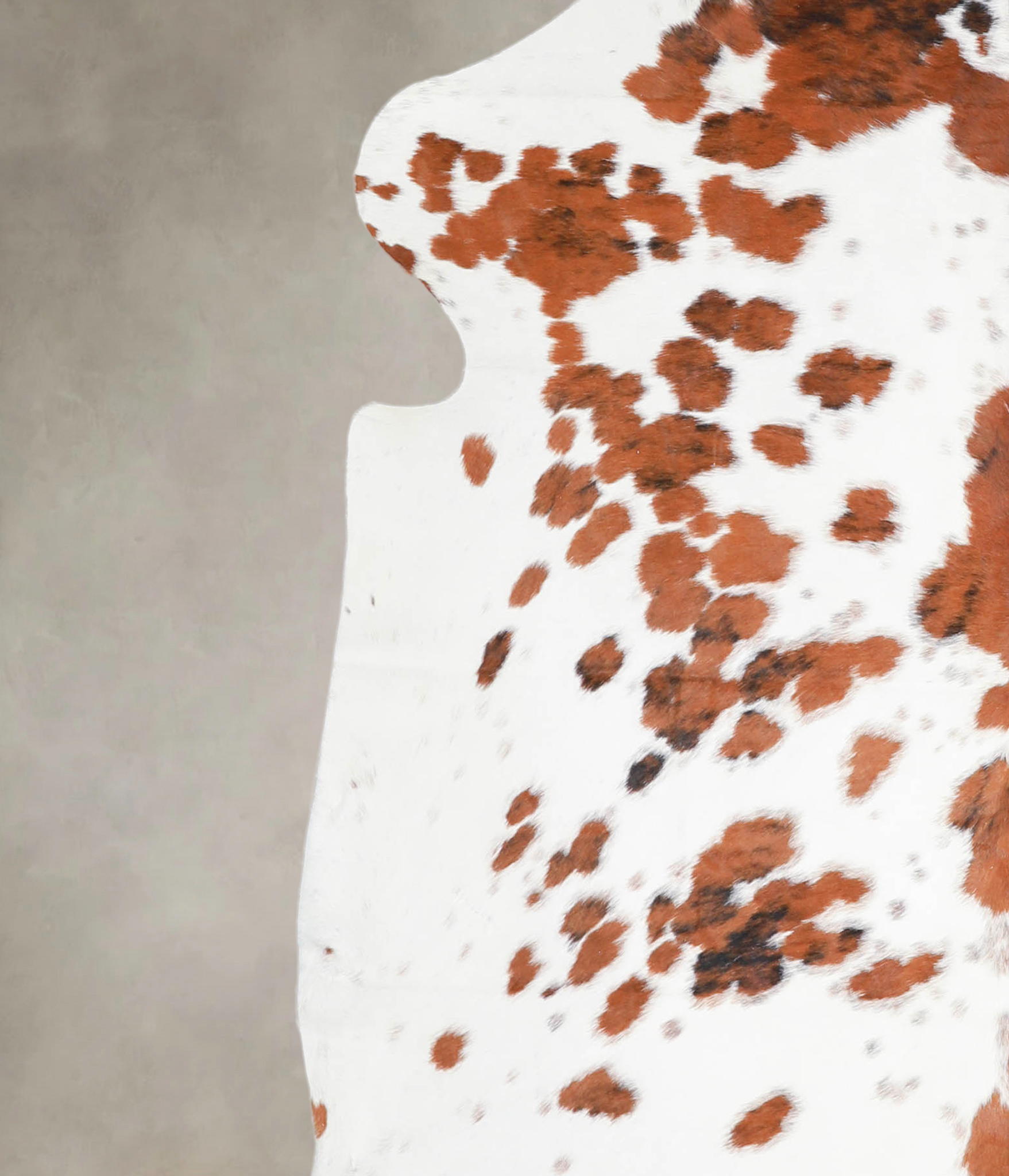 Tricolor Cowhide Rug #A27200