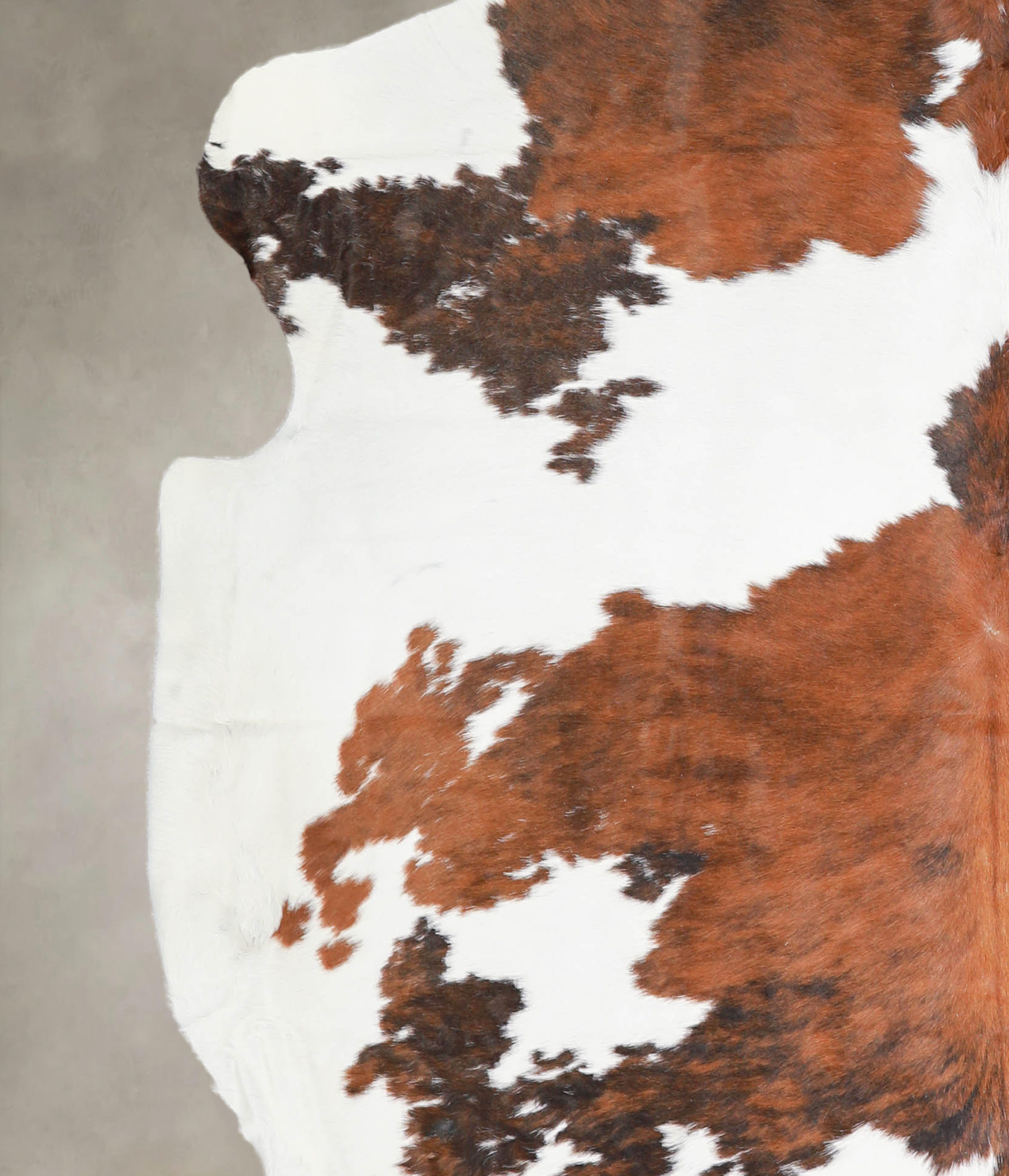 Tricolor Cowhide Rug #A27205