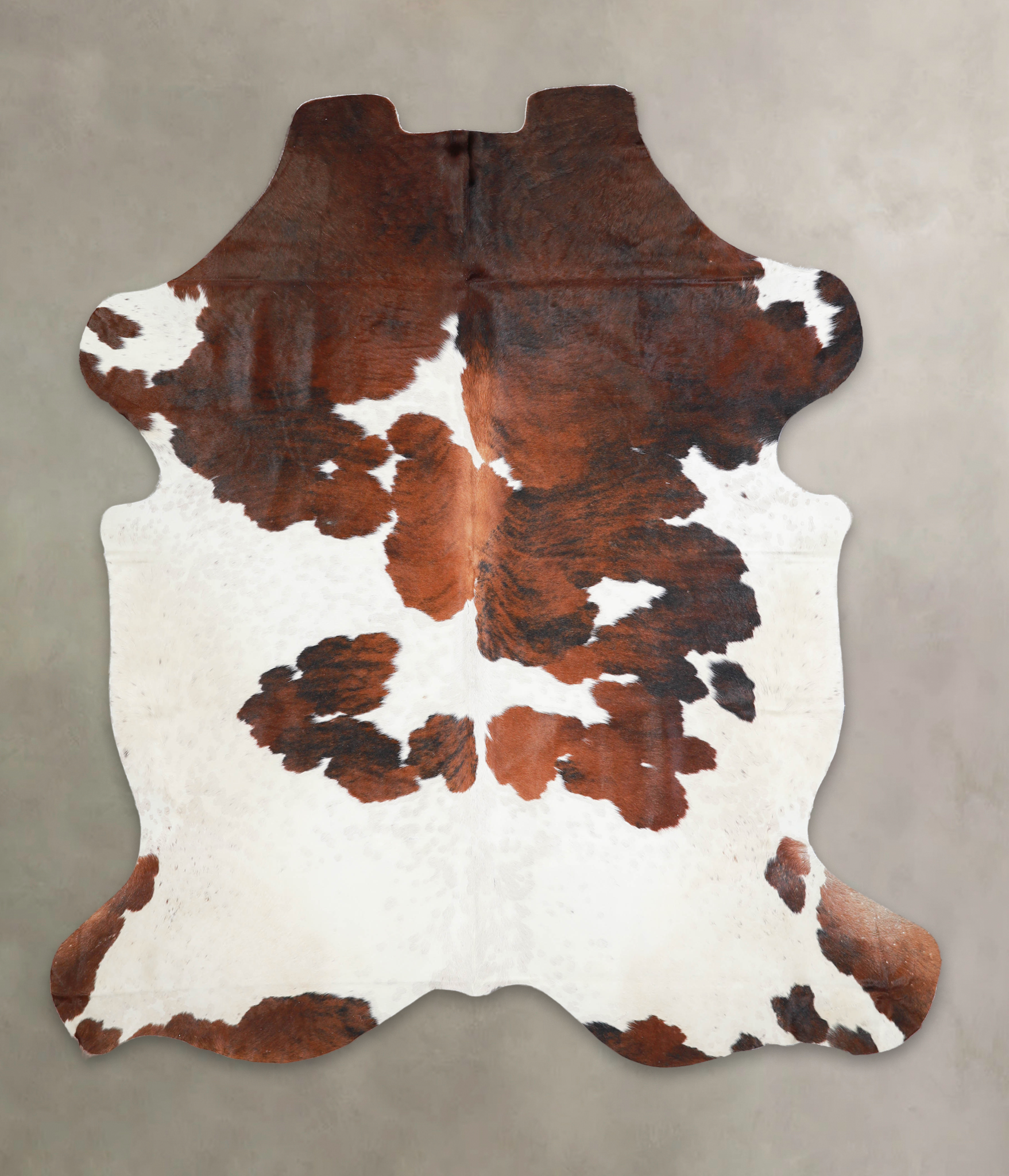 Tricolor Cowhide Rug #A27233