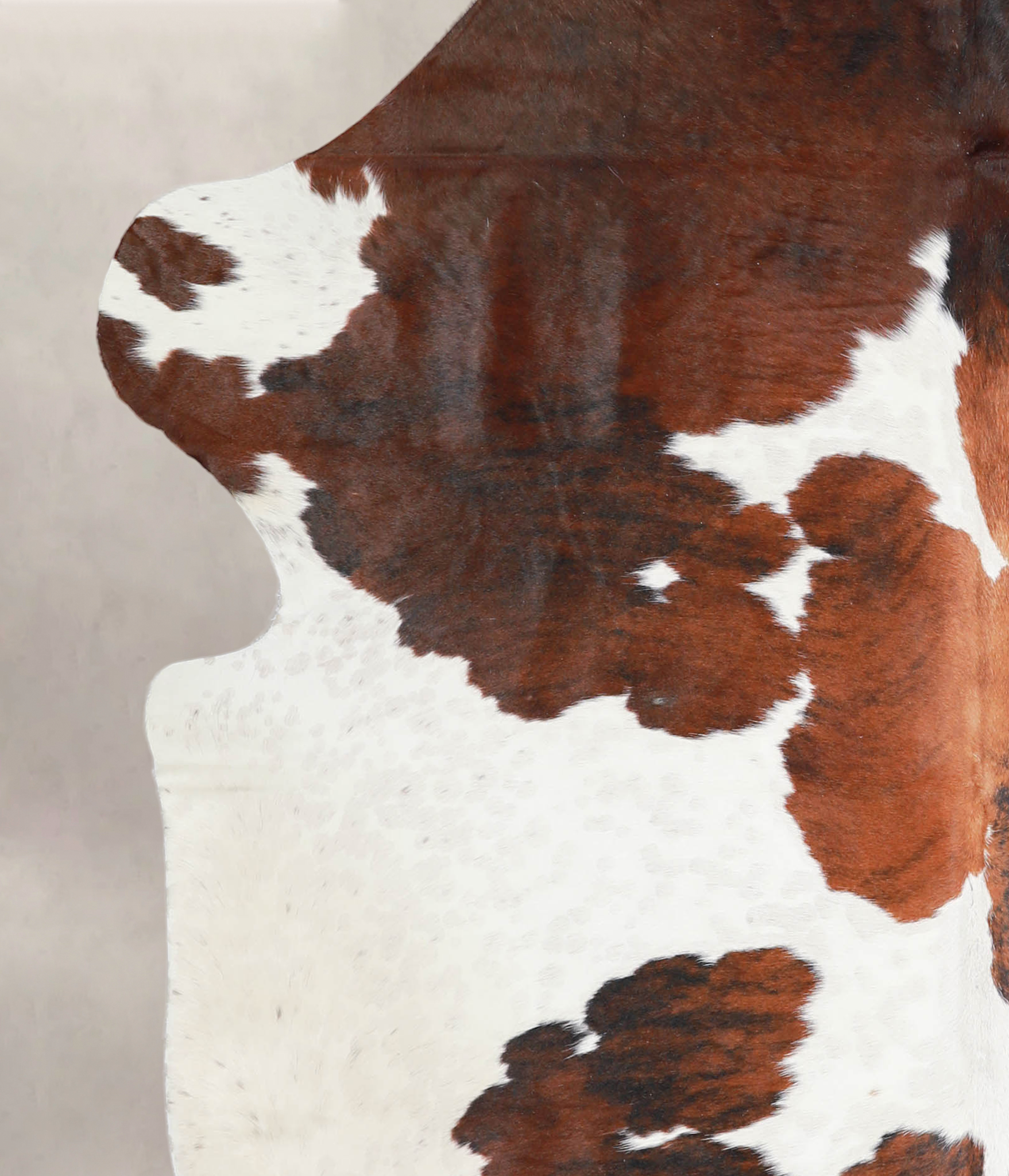 Tricolor Cowhide Rug #A27233