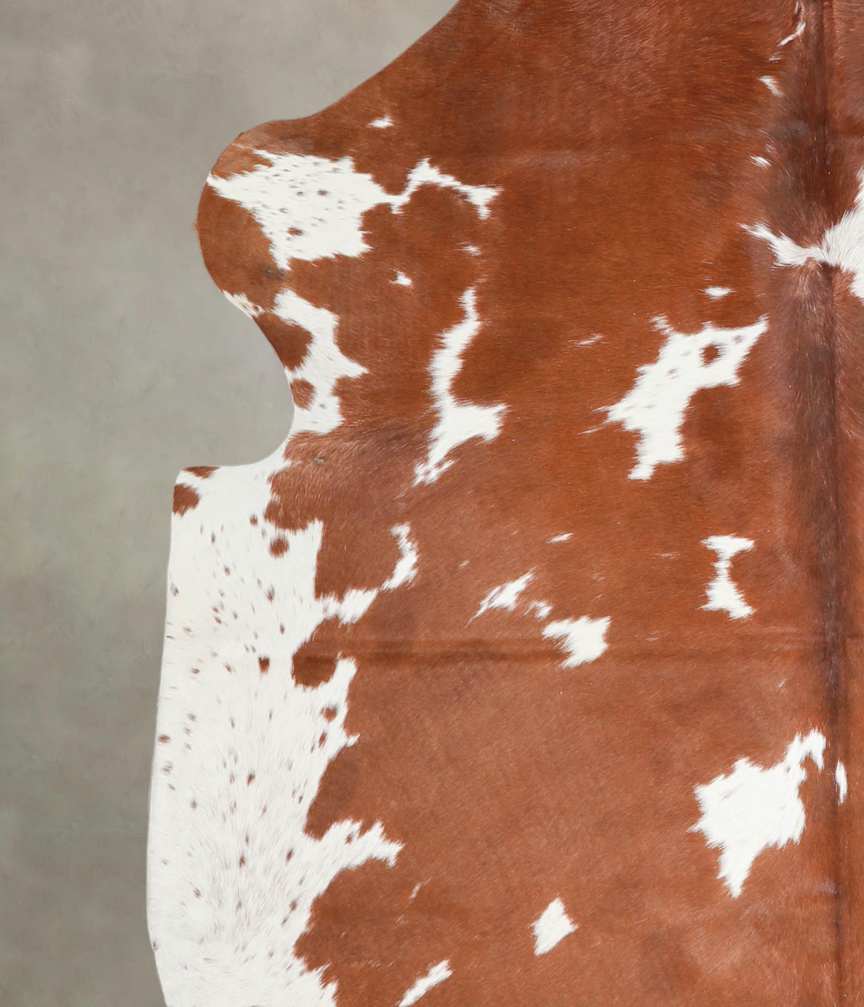 Brown and White Cowhide Rug #A27242