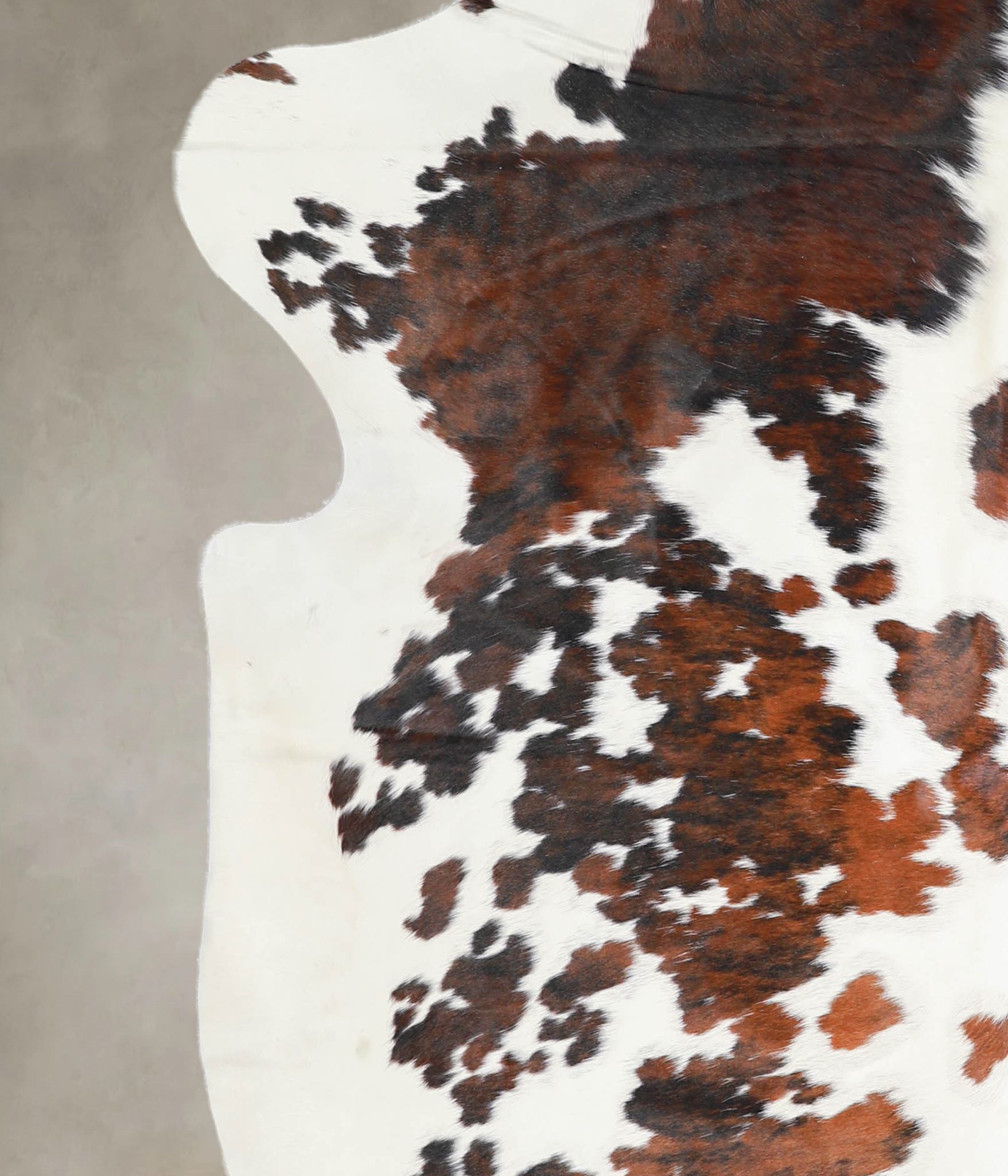 Tricolor Cowhide Rug #A27248