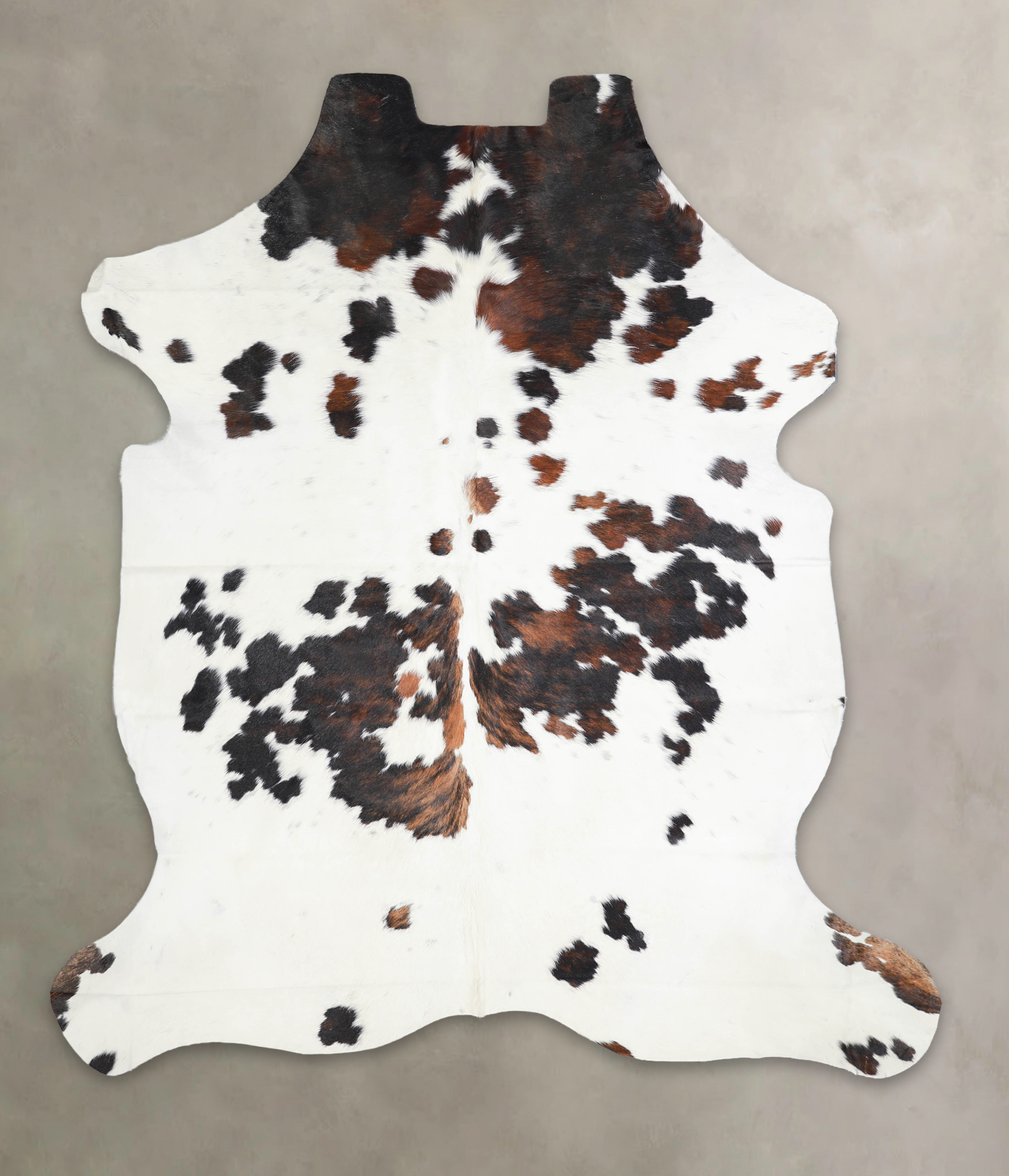 Tricolor Cowhide Rug #A27269