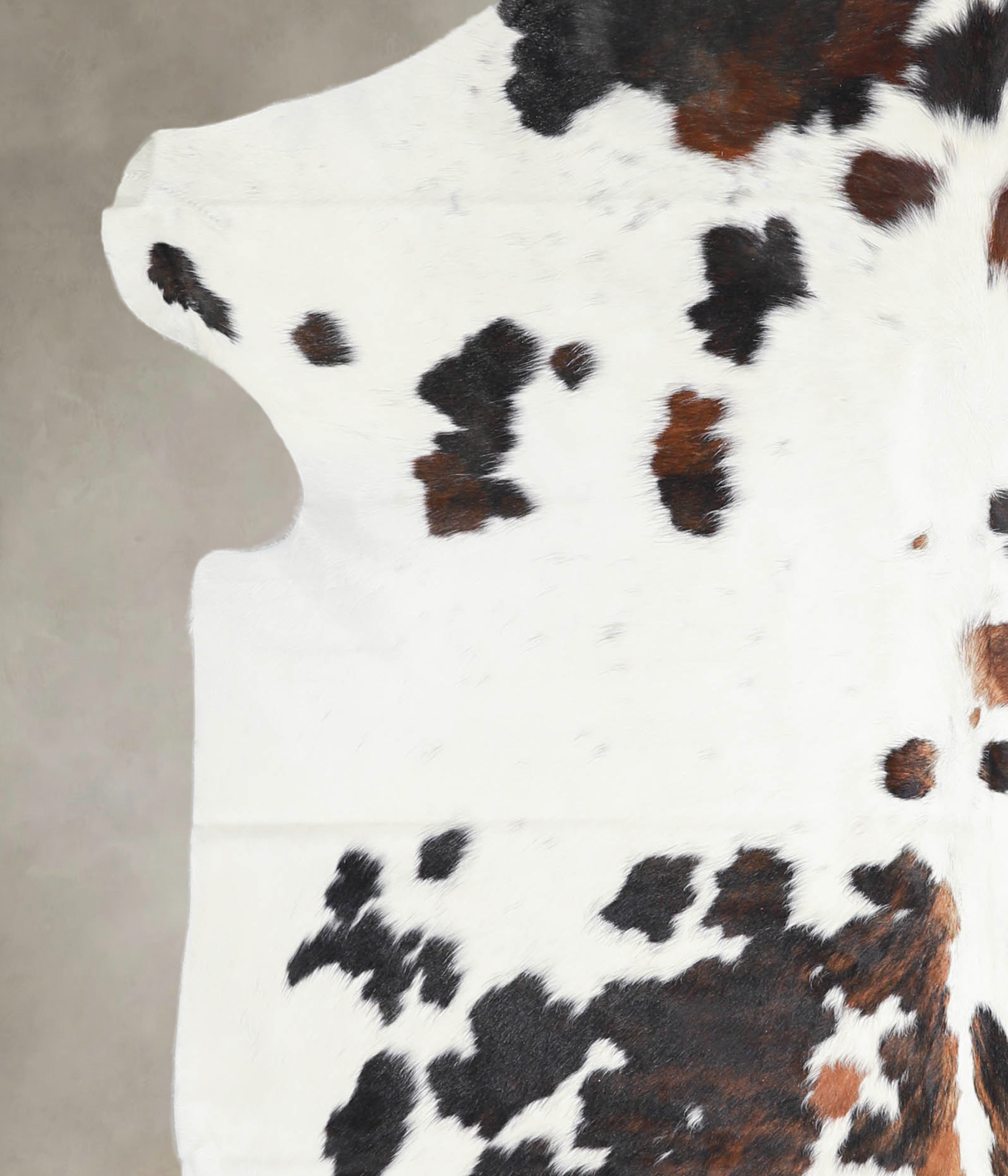 Tricolor Cowhide Rug #A27269