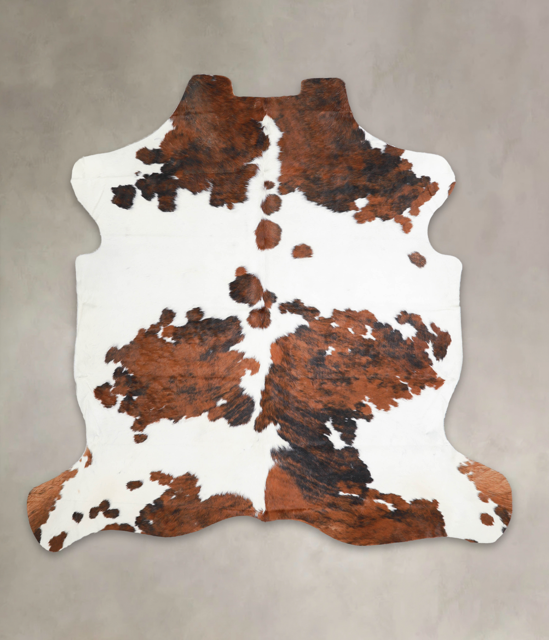 Tricolor Cowhide Rug #A27303