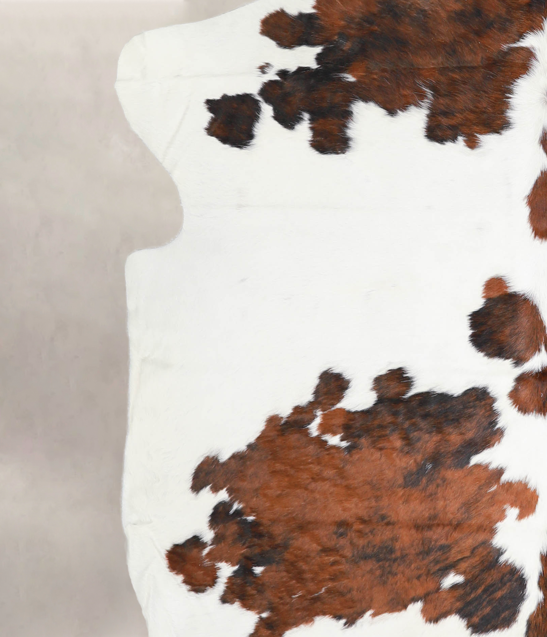 Tricolor Cowhide Rug #A27303