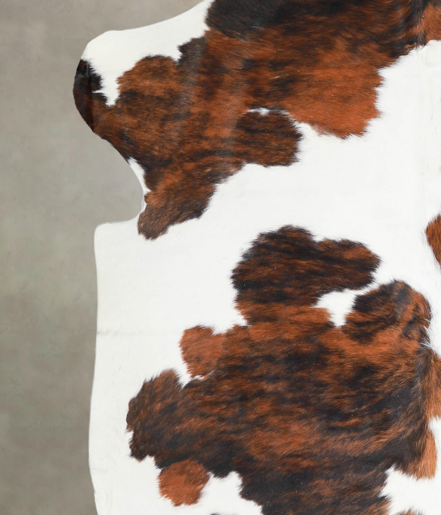 Tricolor Cowhide Rug #A27304