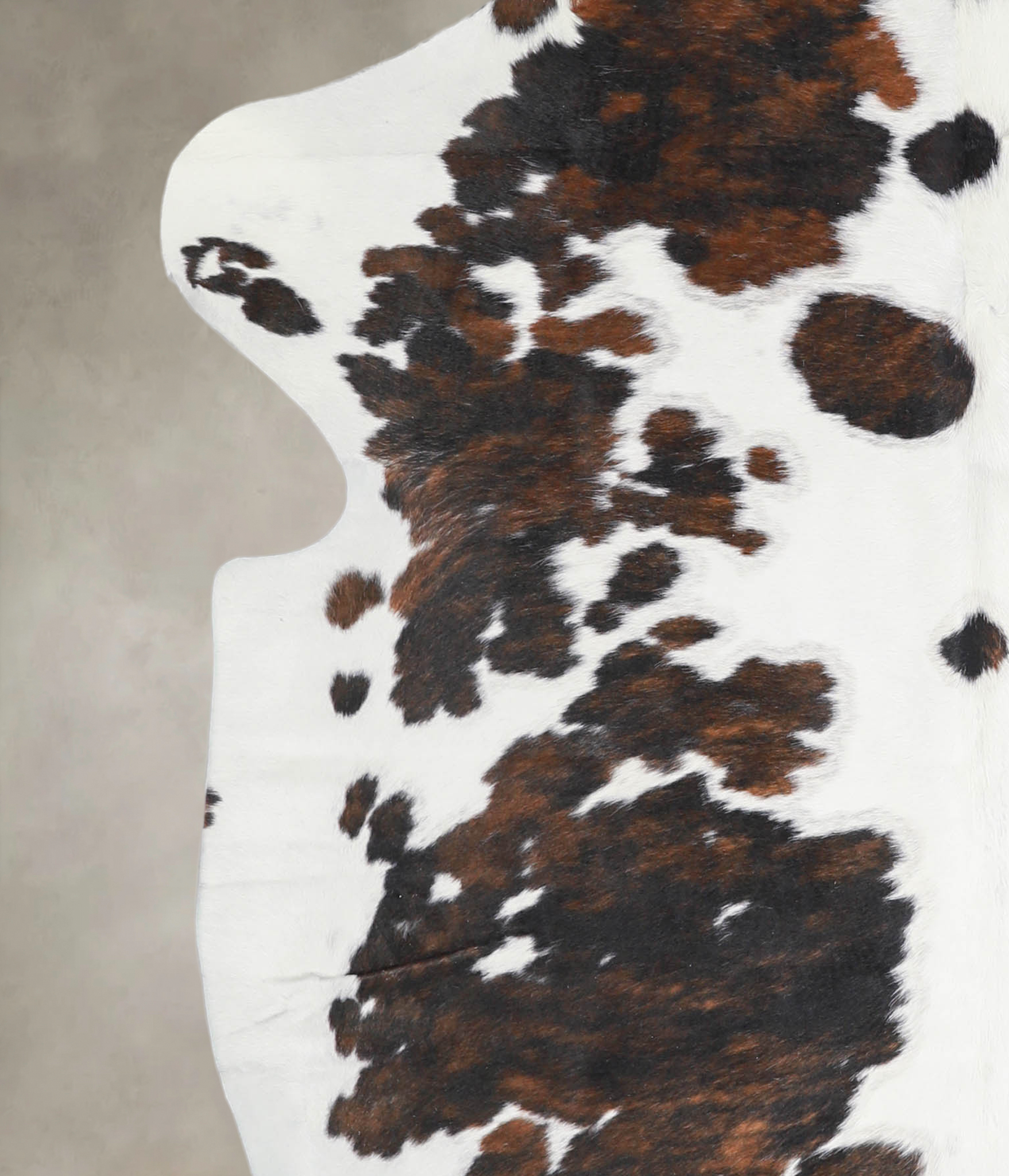 Tricolor Cowhide Rug #A27305