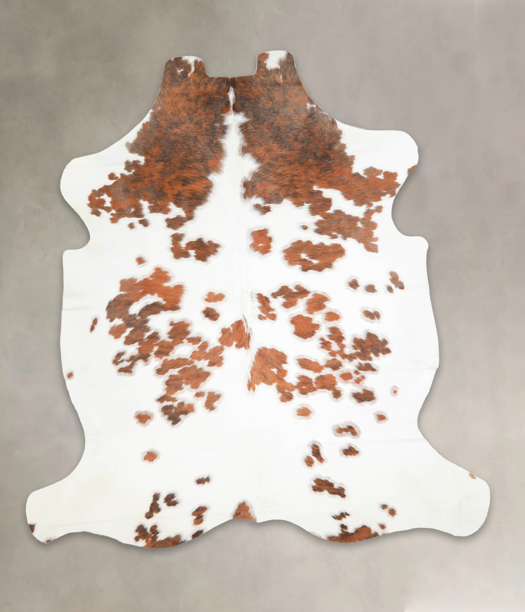 Tricolor Cowhide Rug #A27317