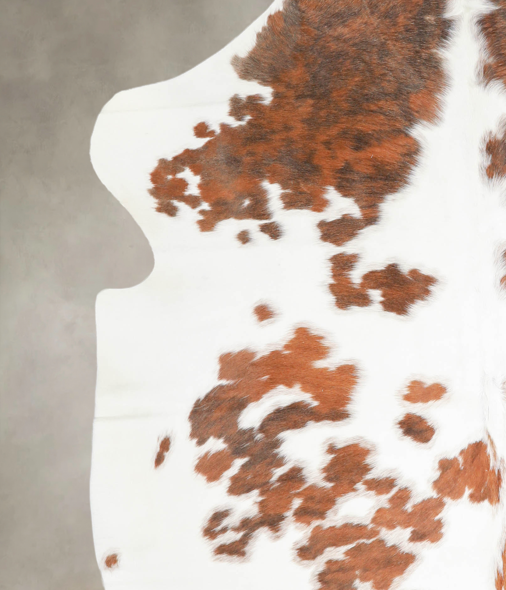 Tricolor Cowhide Rug #A27317