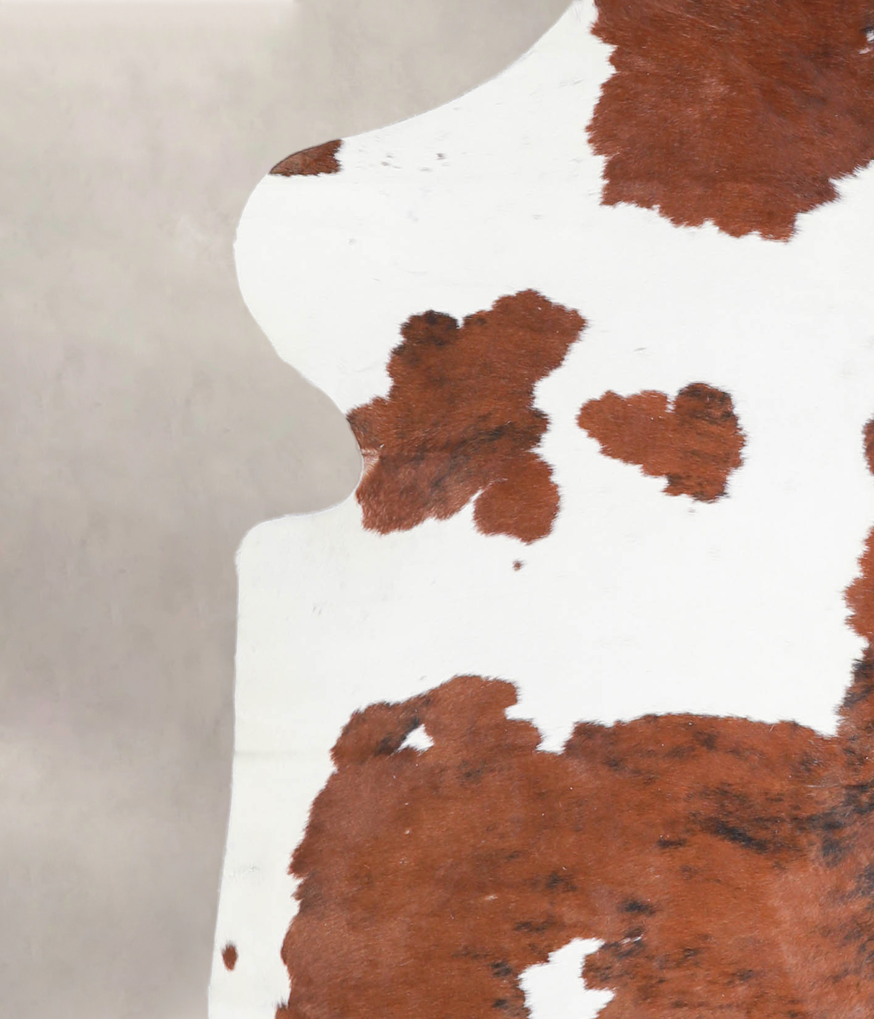 Tricolor Cowhide Rug #A27336