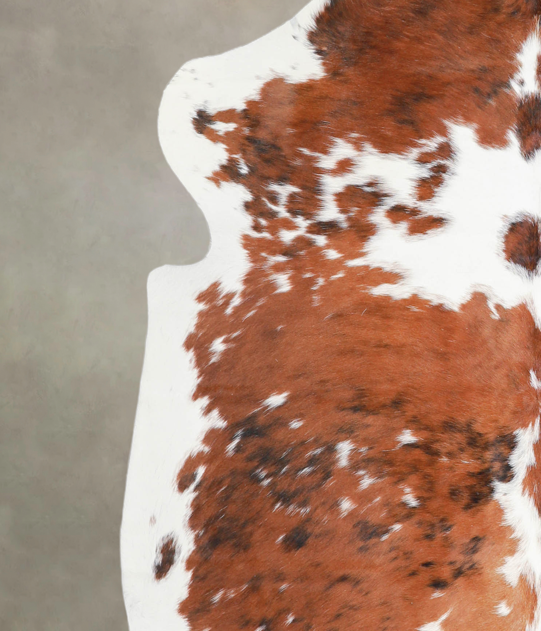 Tricolor Cowhide Rug #A27337