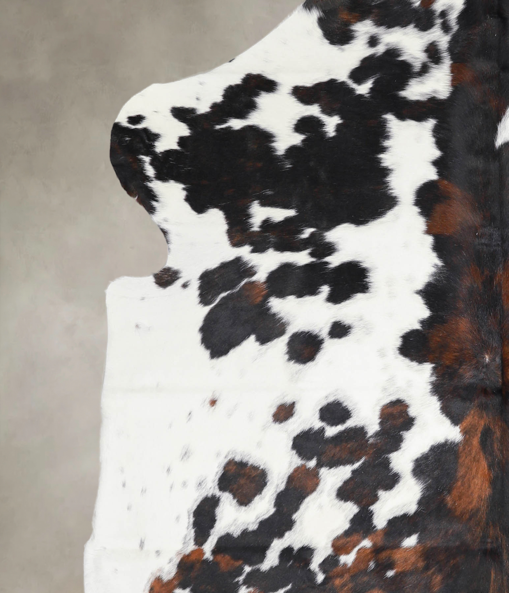 Tricolor Cowhide Rug #A27339