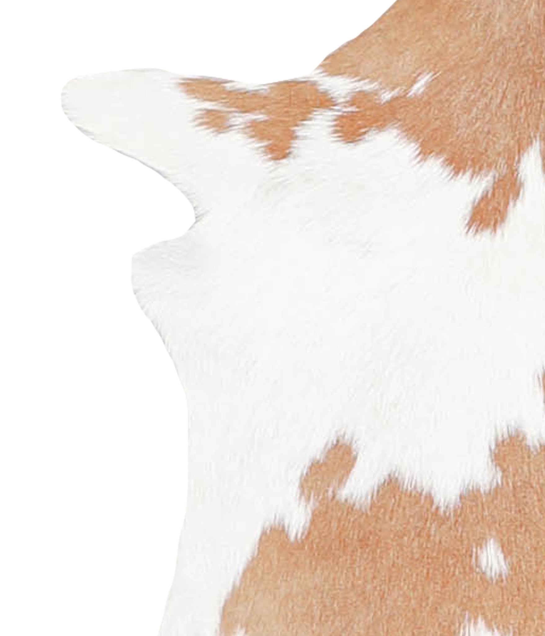 Goatskin #A27581