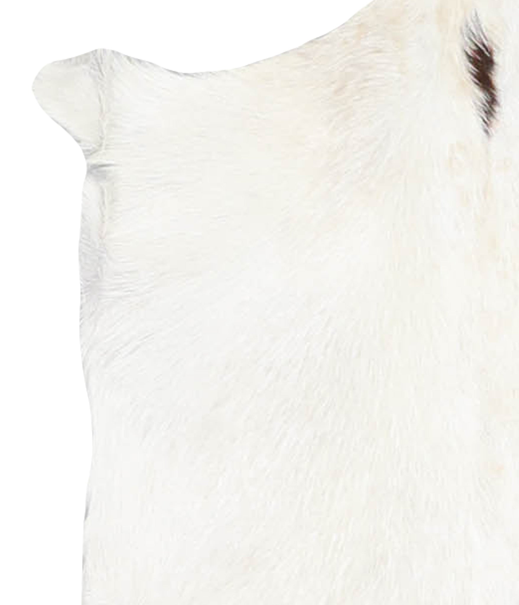 Goatskin #A27680