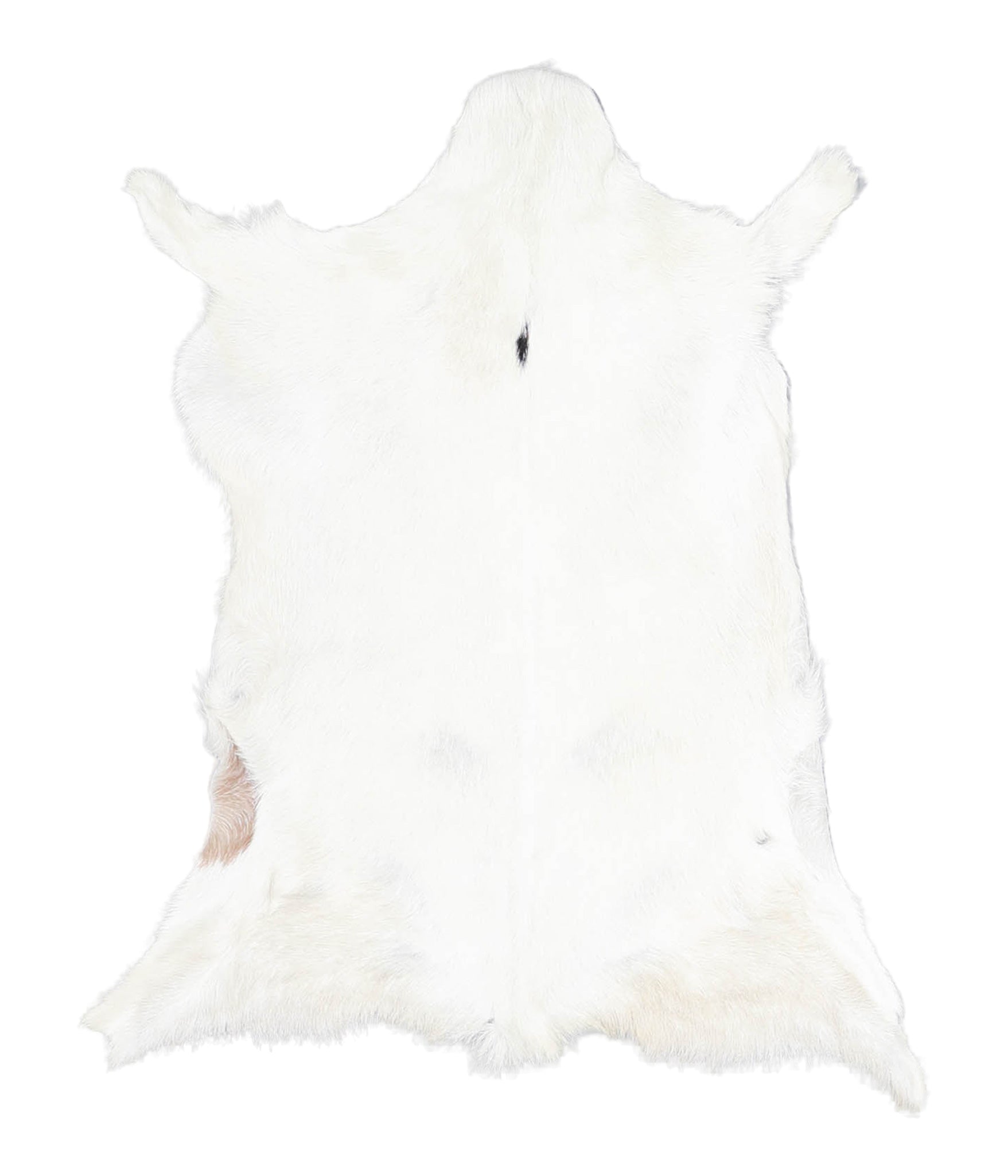 Goatskin #A27683