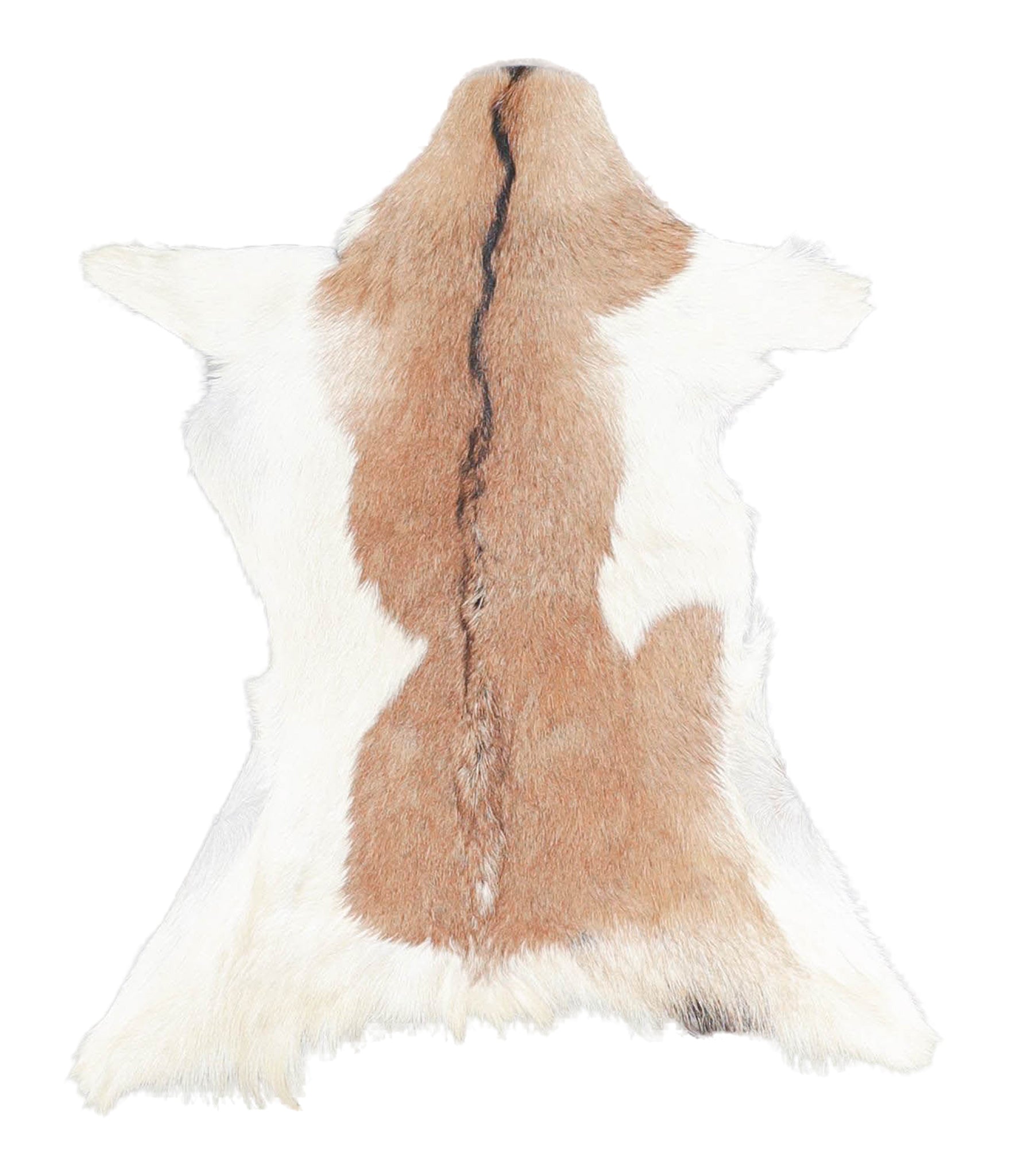 Goatskin #A27704