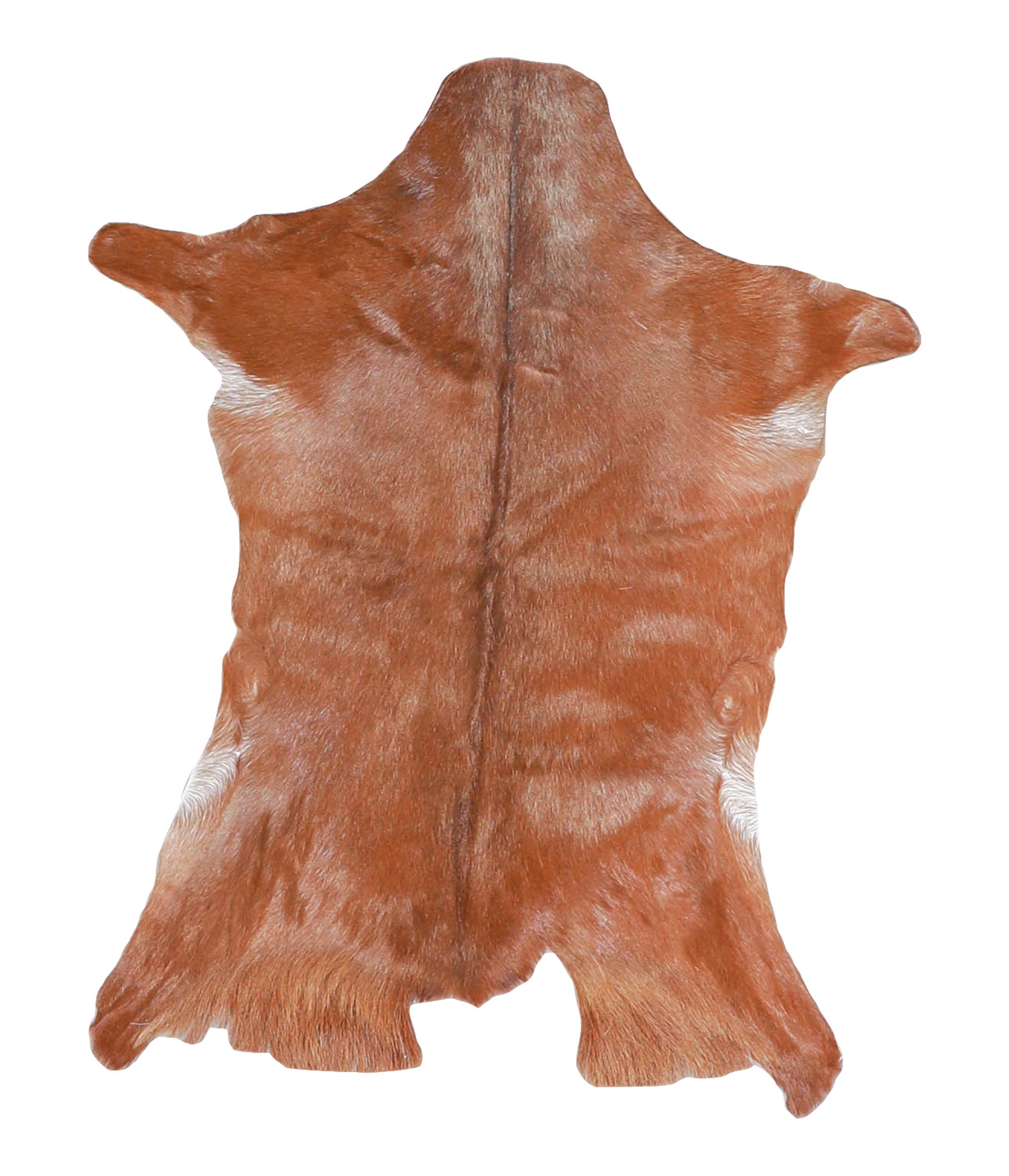 Goatskin #A27747