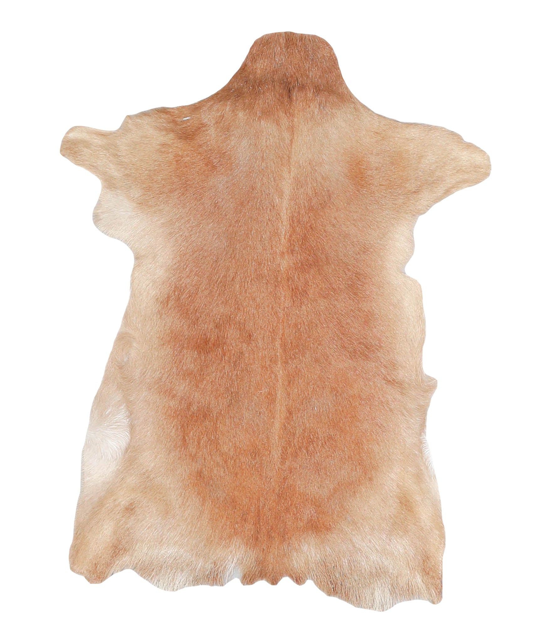 Goatskin #A27748