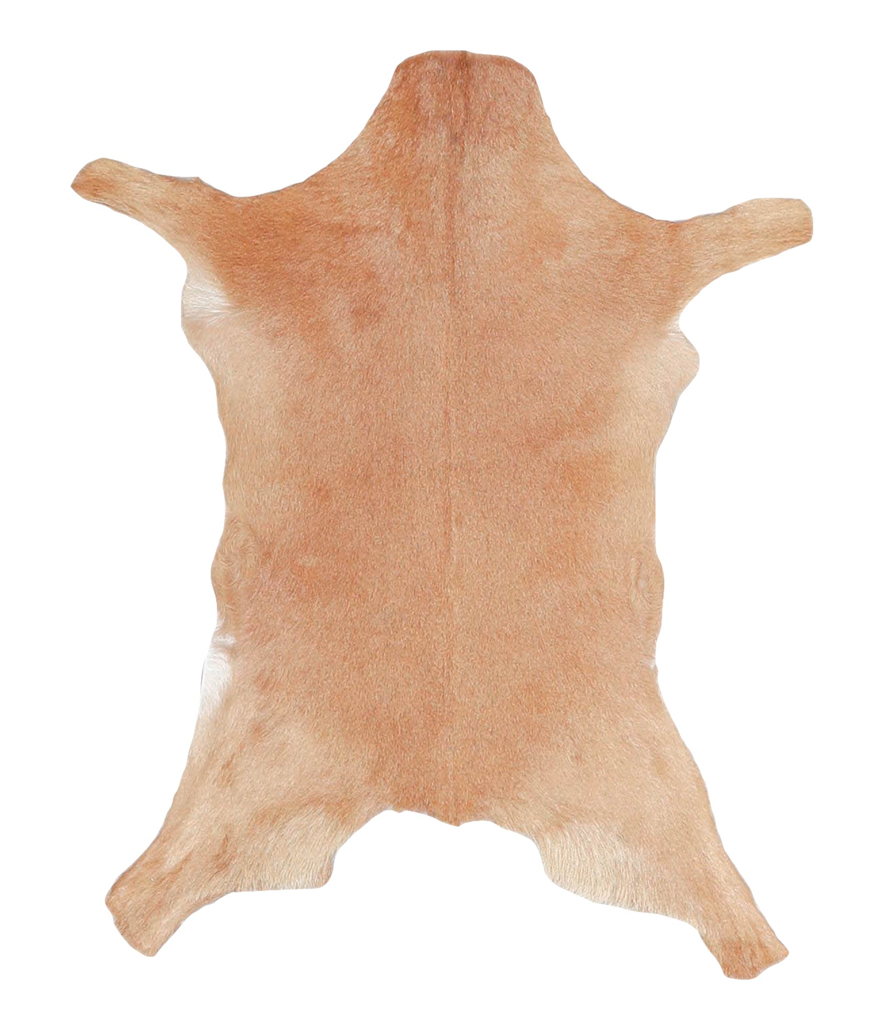 Goatskin #A27751