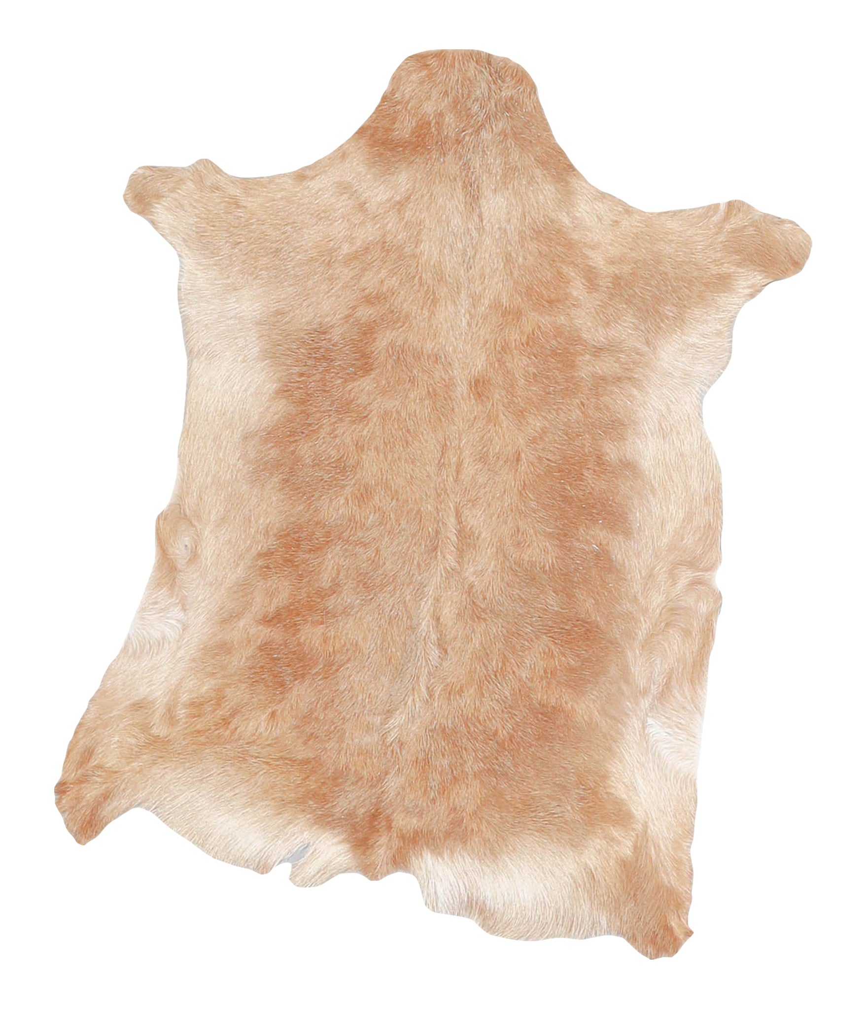 Goatskin #A27755