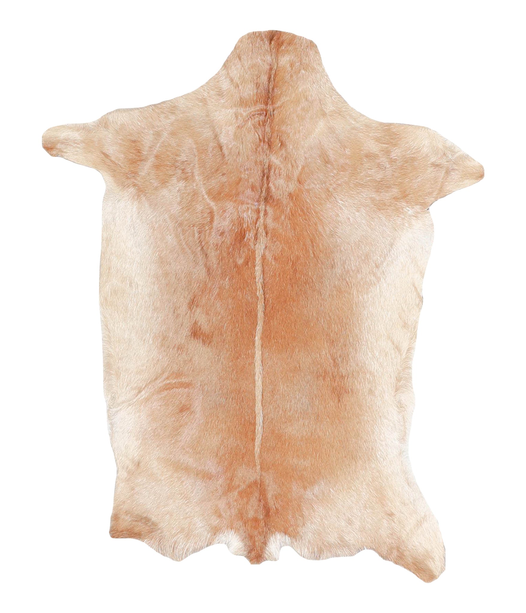 Goatskin #A27756