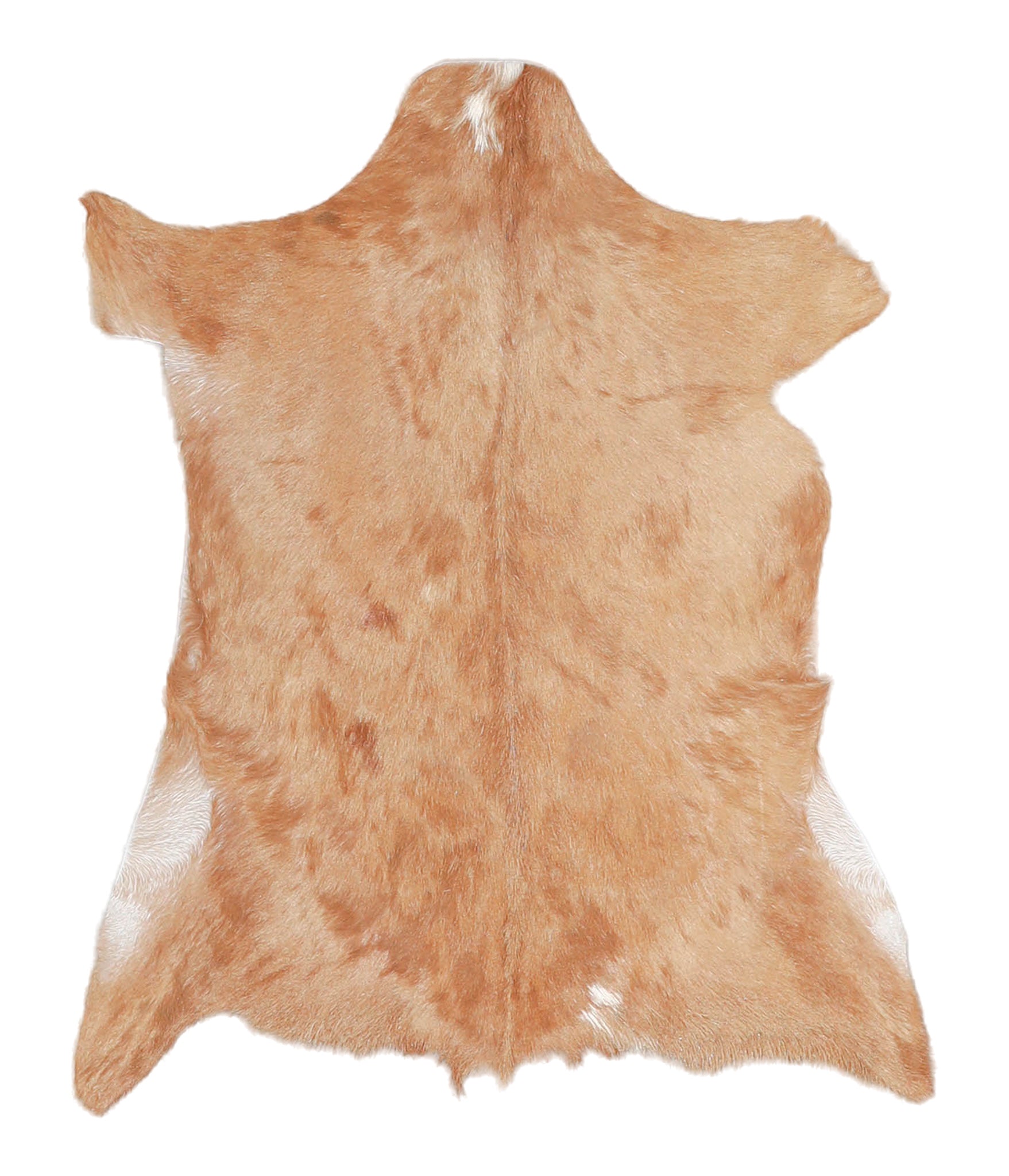 Goatskin #A27757