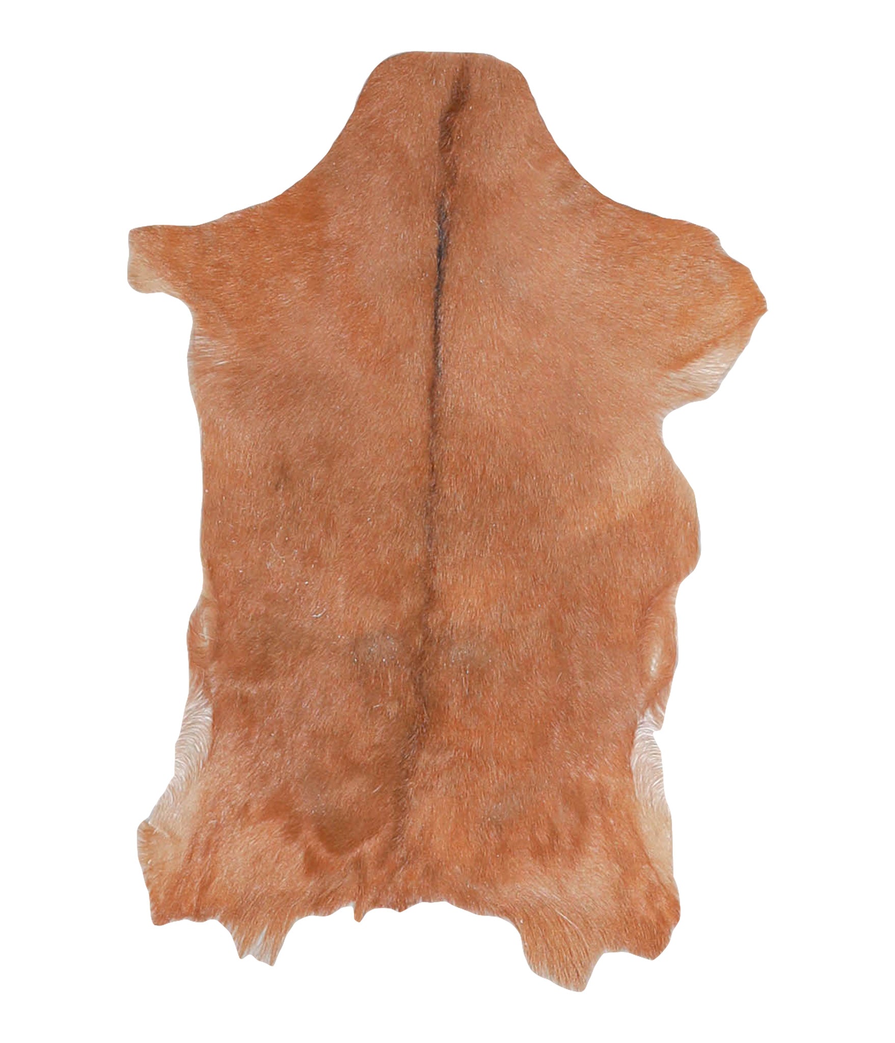 Goatskin #A27758