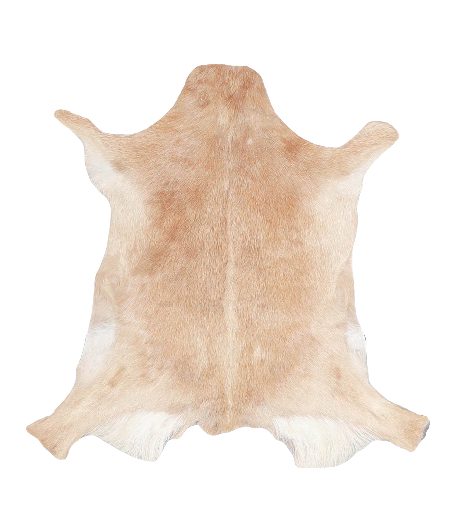 Goatskin #A27761