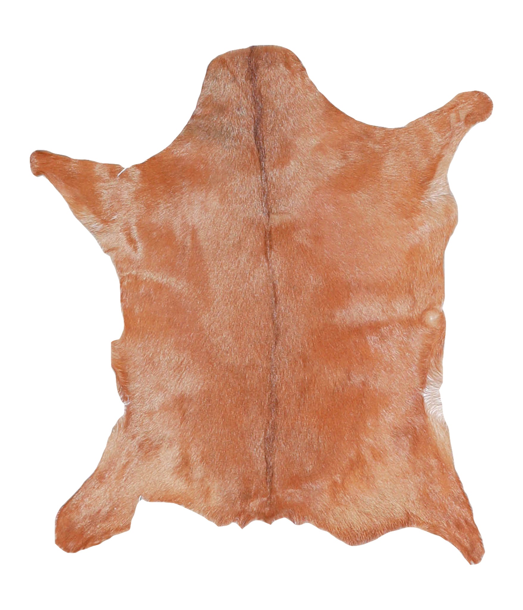 Goatskin #A27763