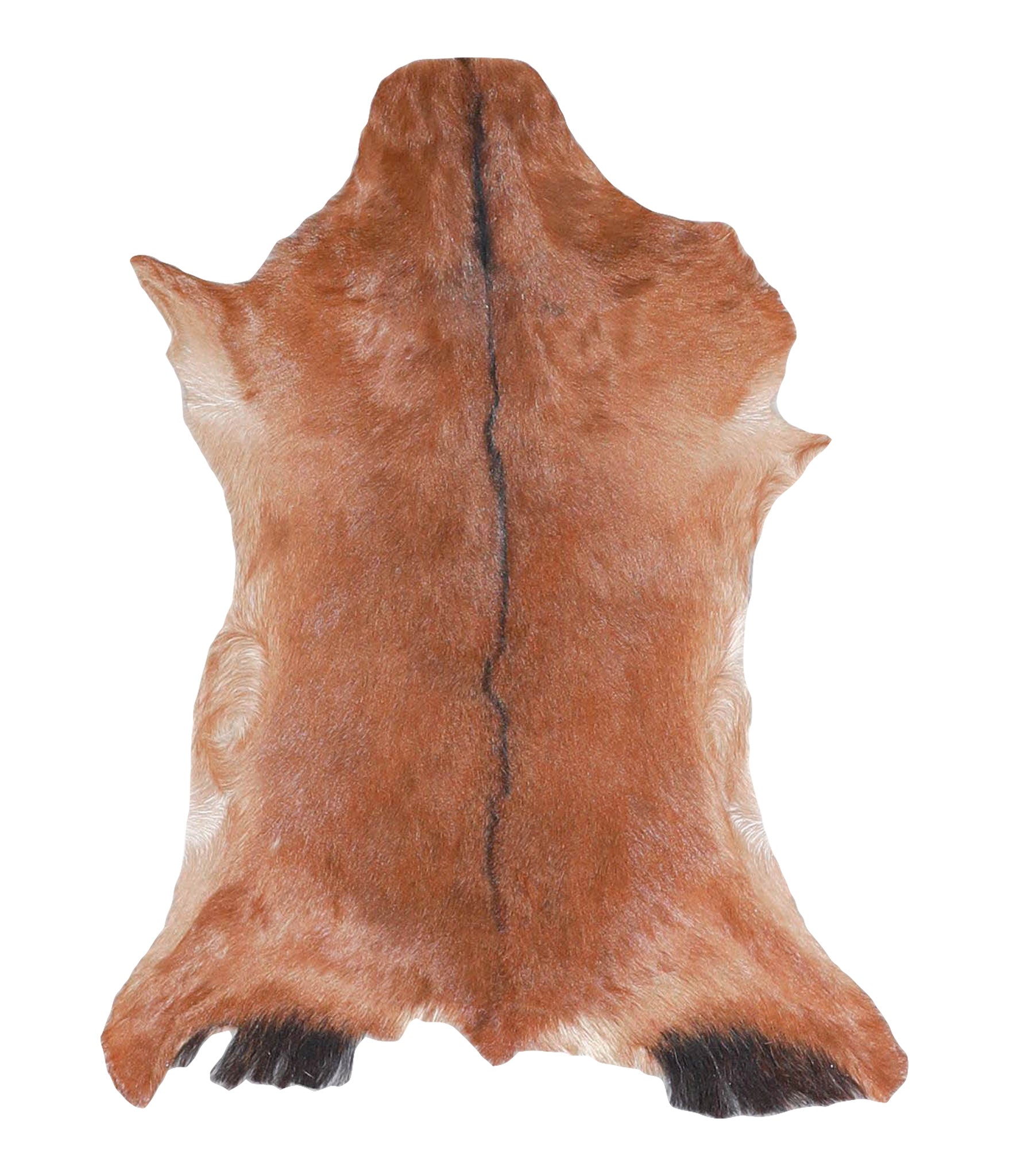 Goatskin #A27764