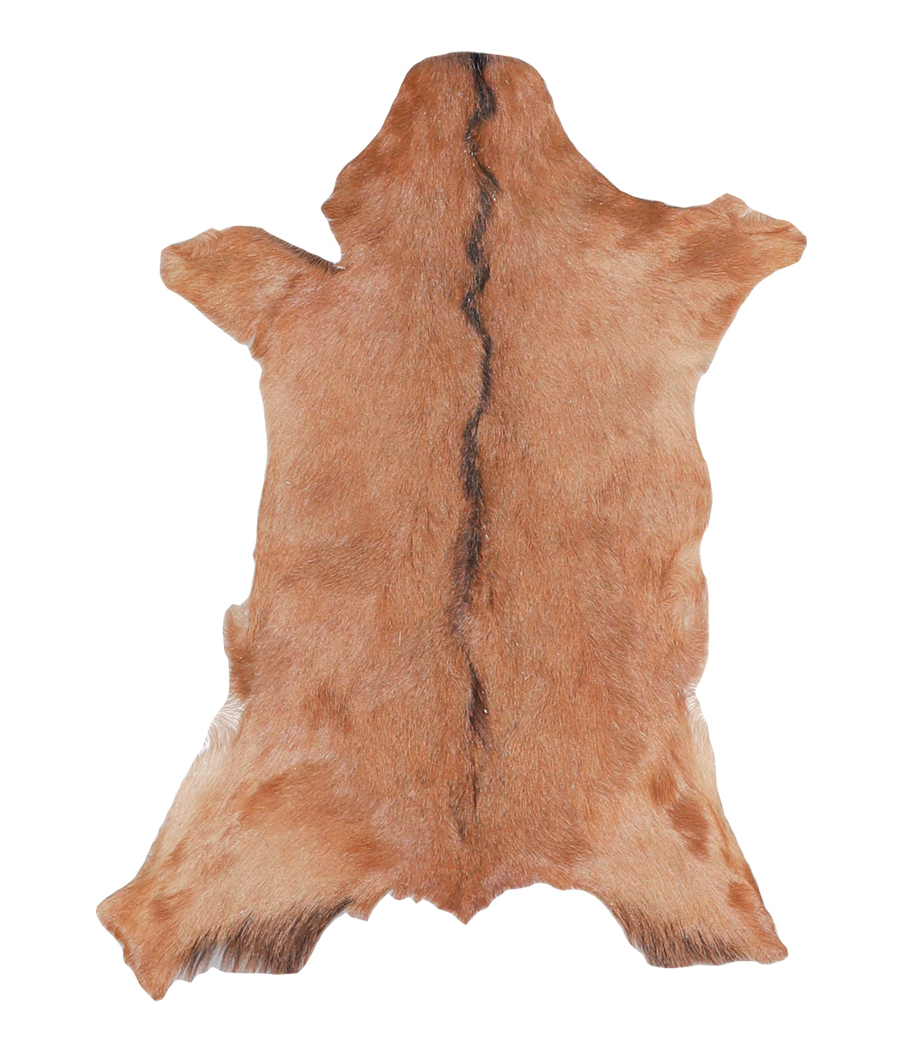 Goatskin #A27765