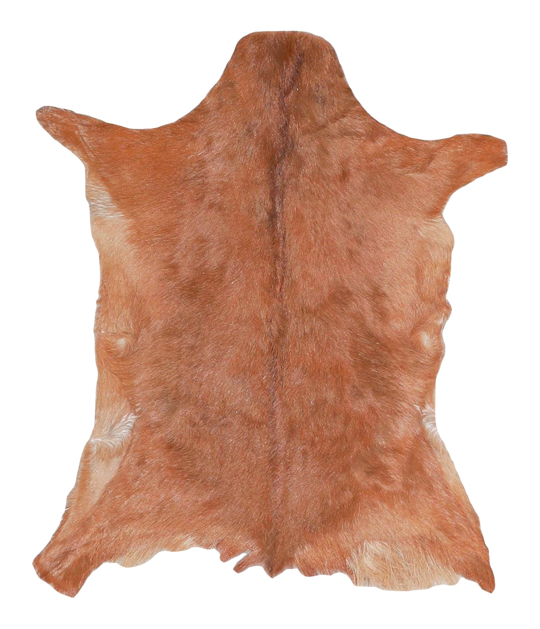 Goatskin #A27772