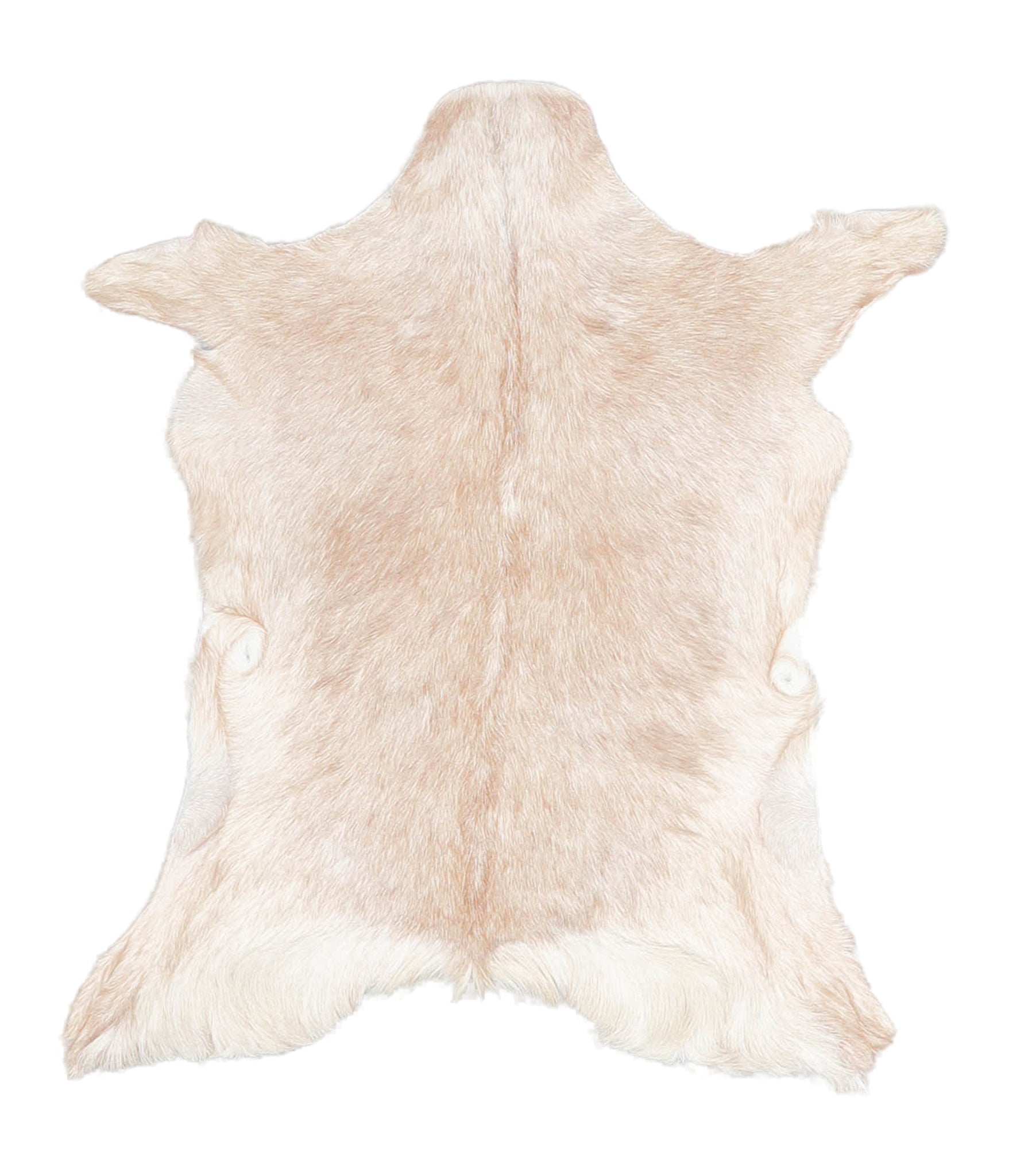 Goatskin #A27774