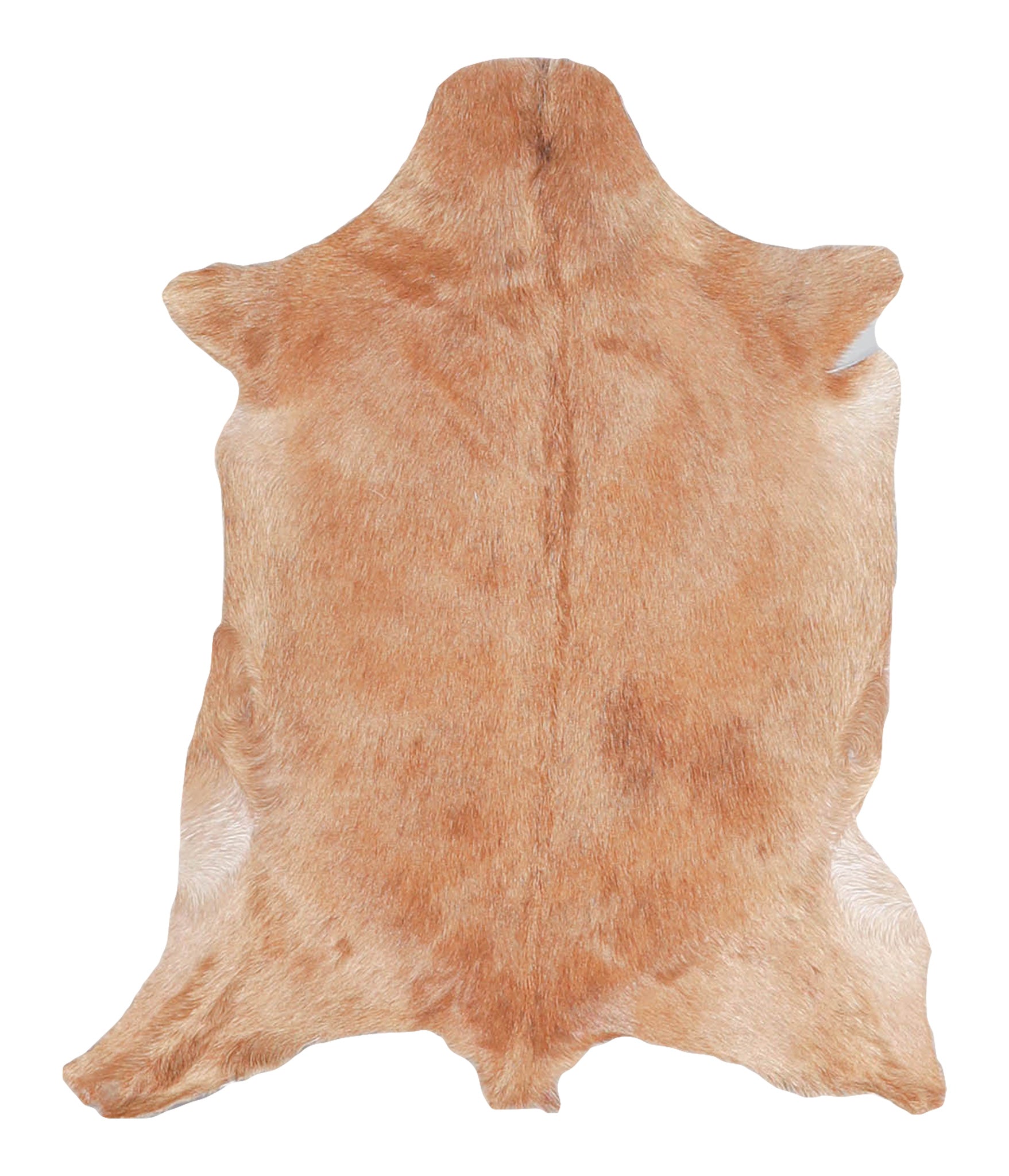 Goatskin #A27777