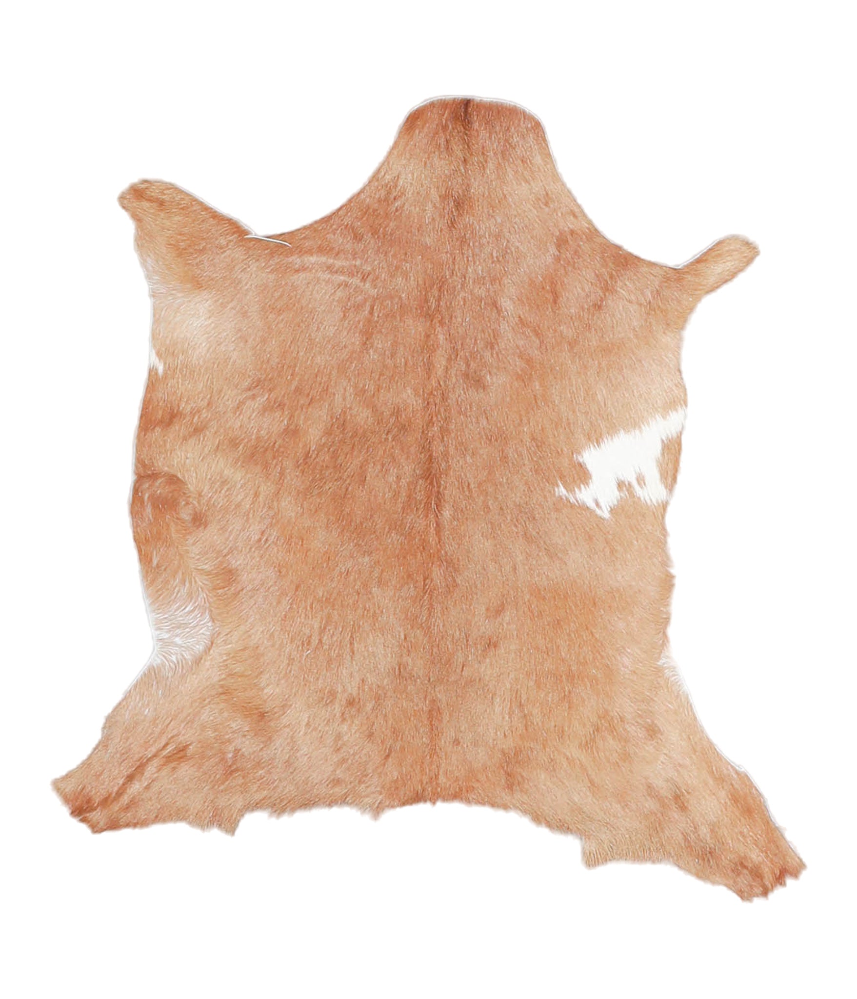 Goatskin #A27778