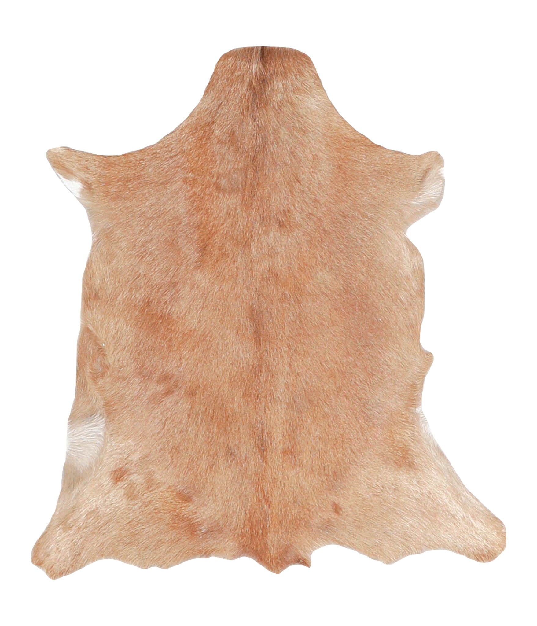 Goatskin #A27779