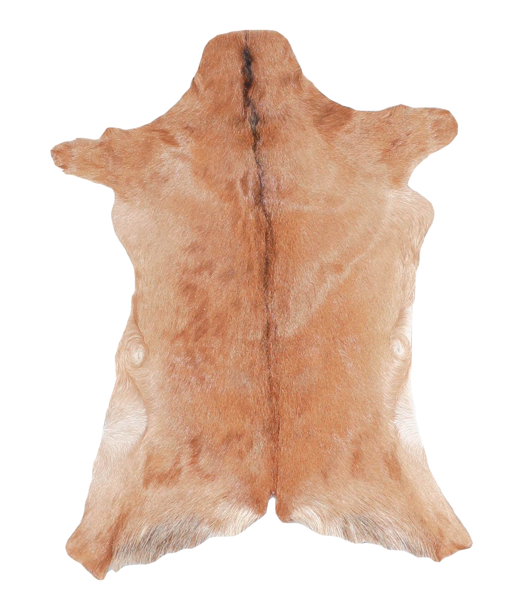 Goatskin #A27781