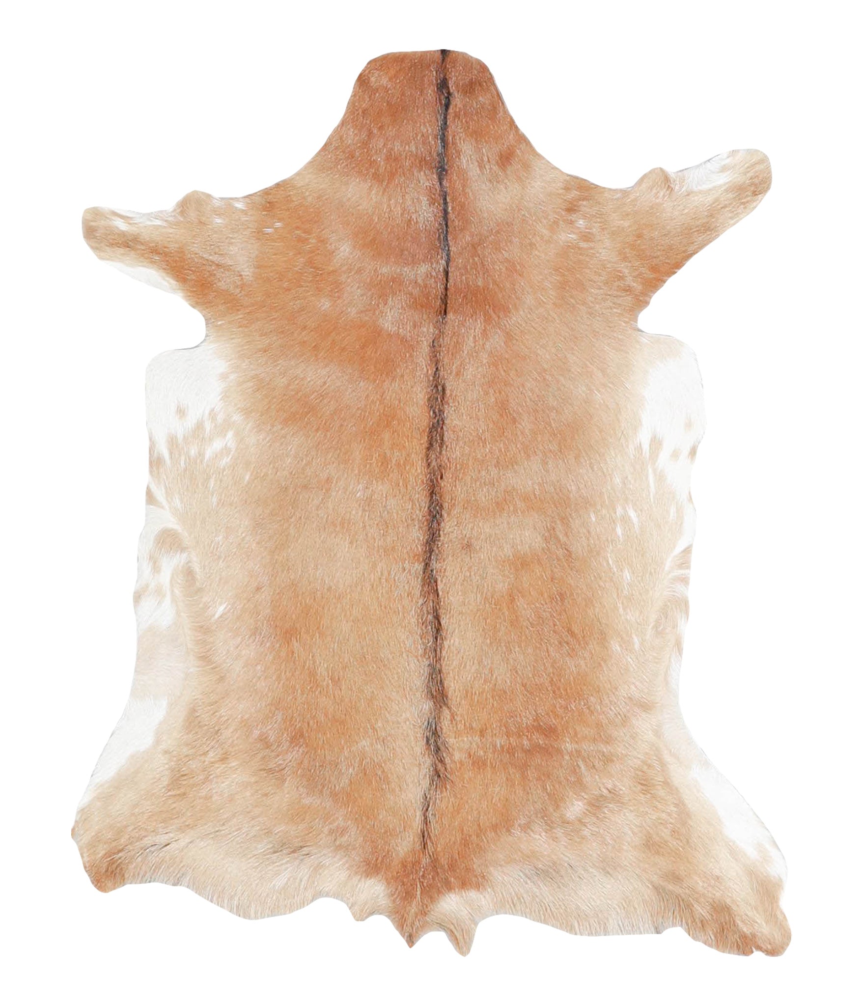 Goatskin #A27783