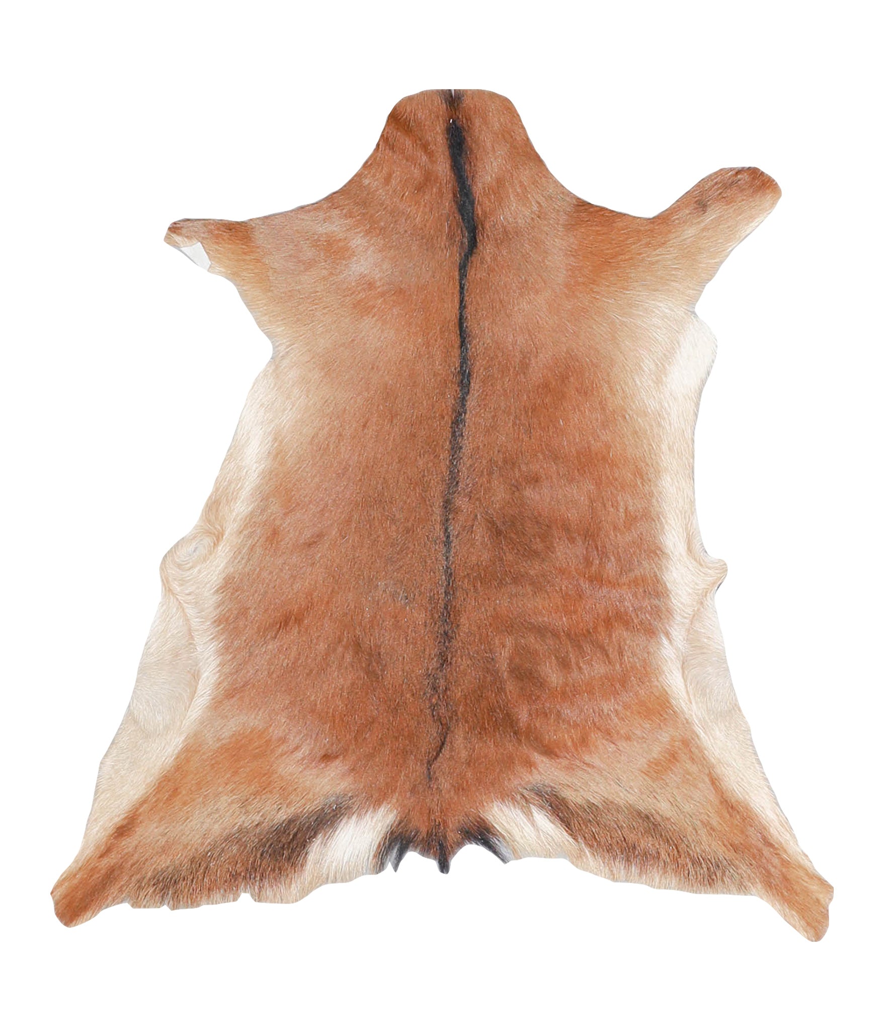 Goatskin #A27784