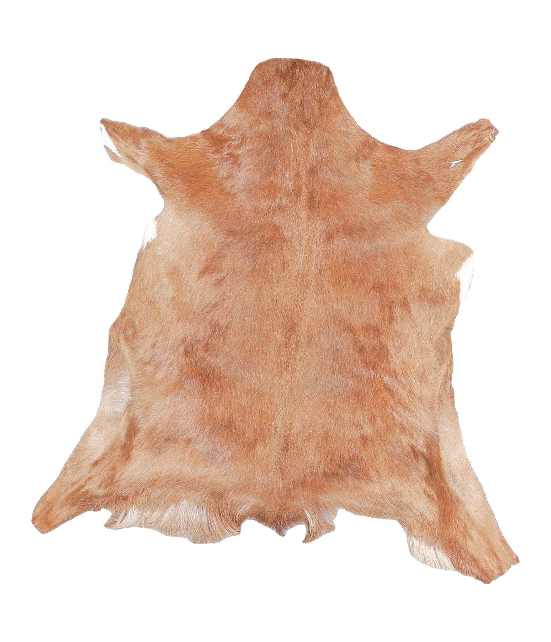 Goatskin #A27786