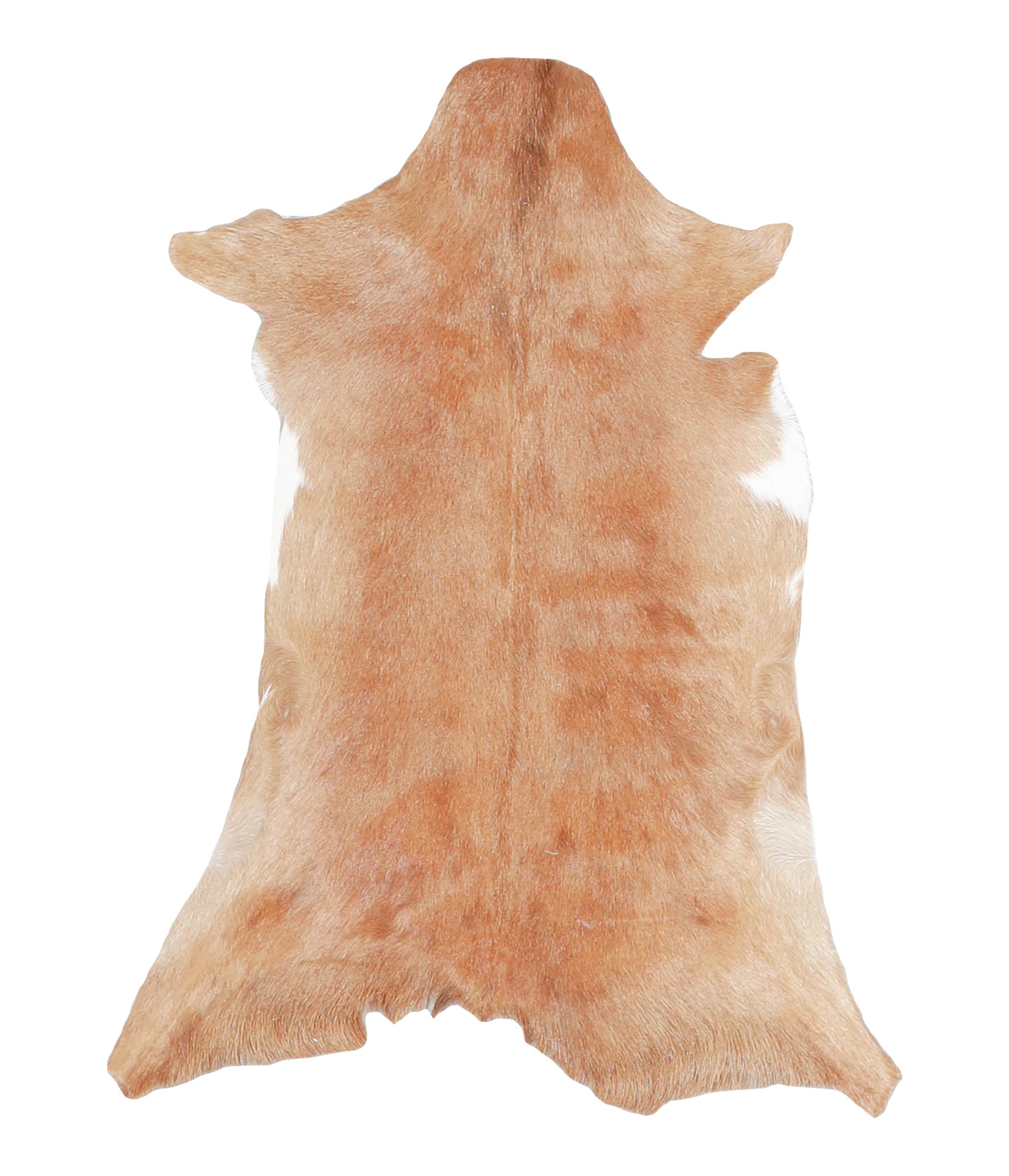 Goatskin #A27787