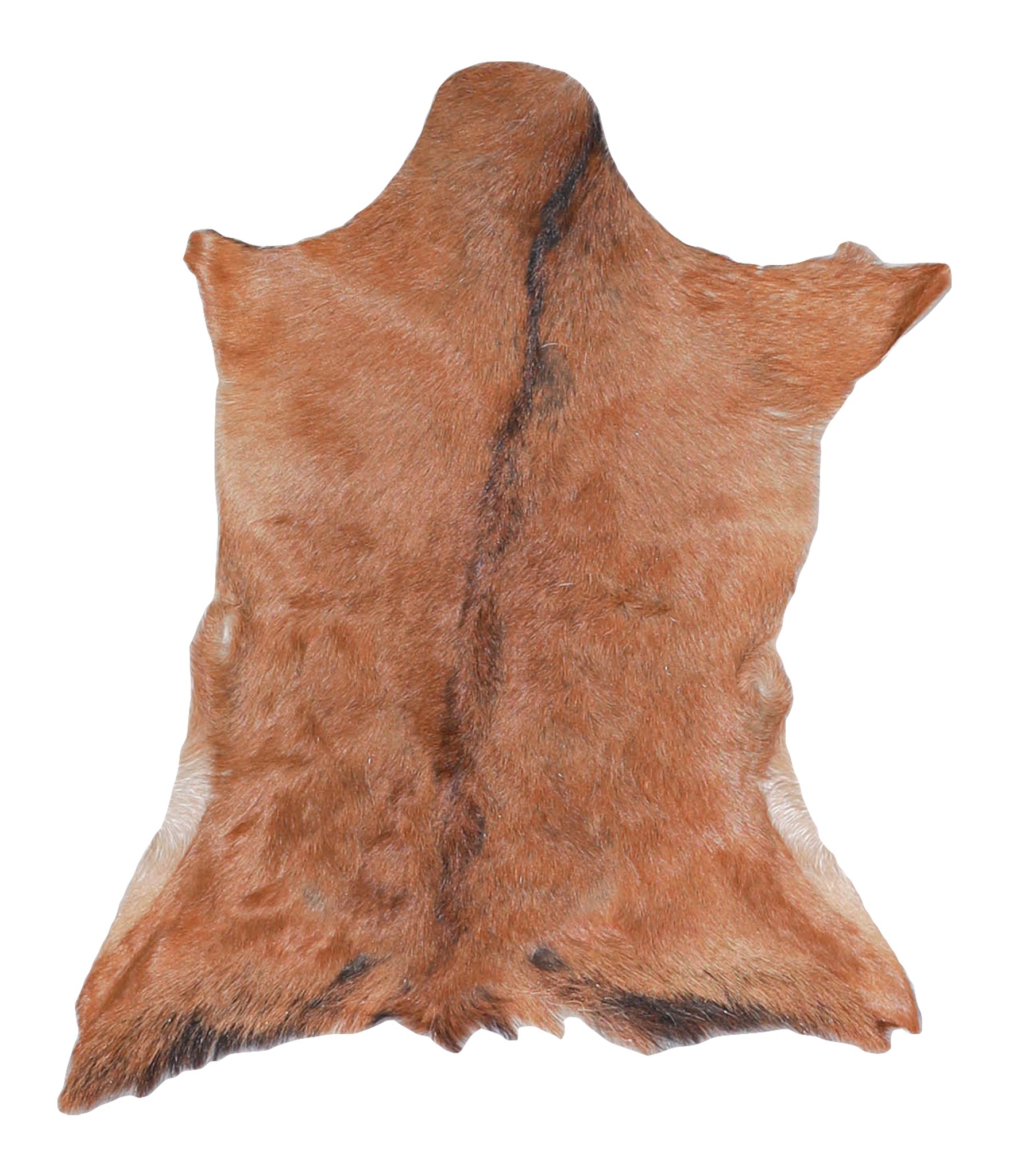 Goatskin #A27789