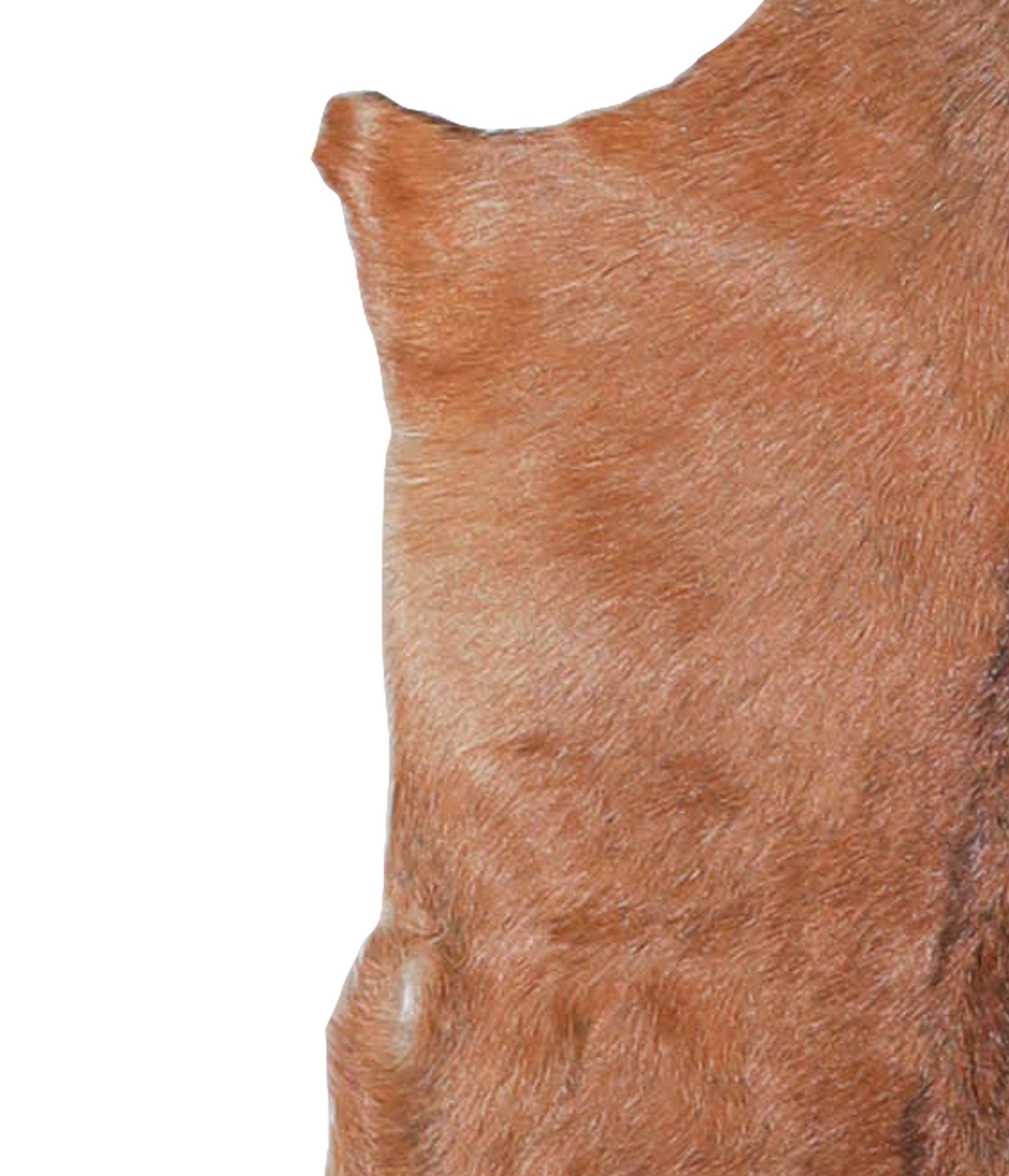 Goatskin #A27789