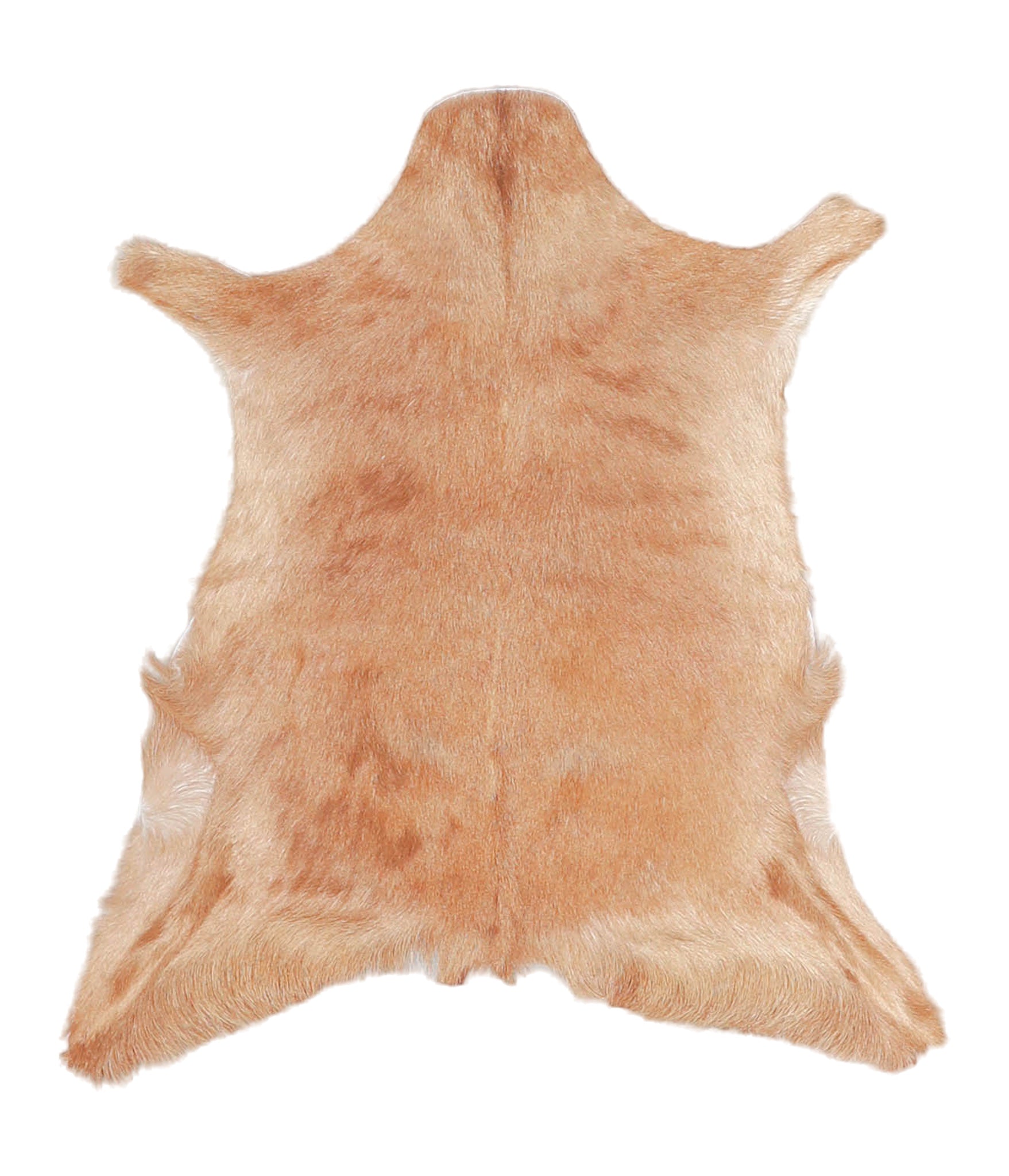 Goatskin #A27791