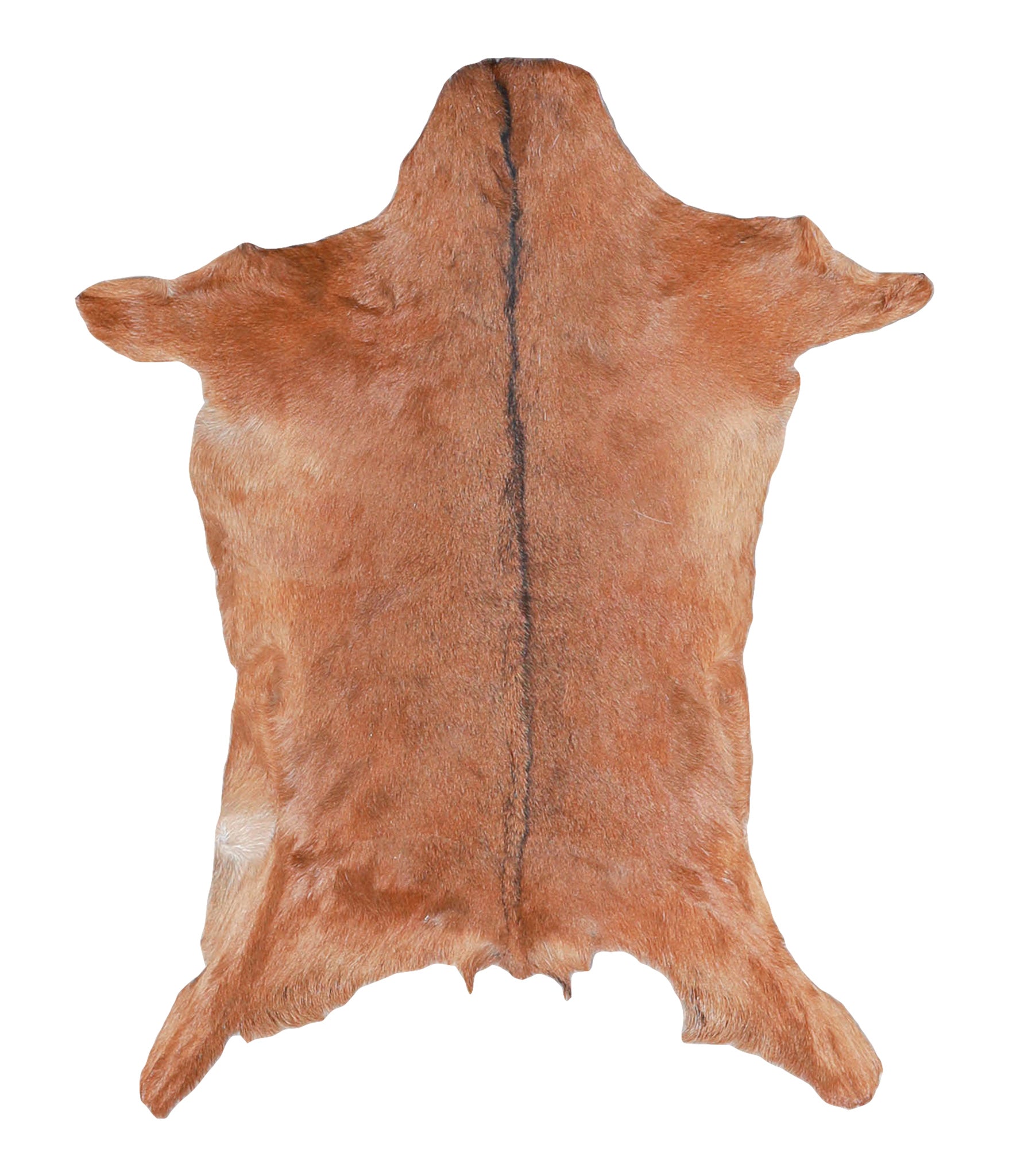 Goatskin #A27792