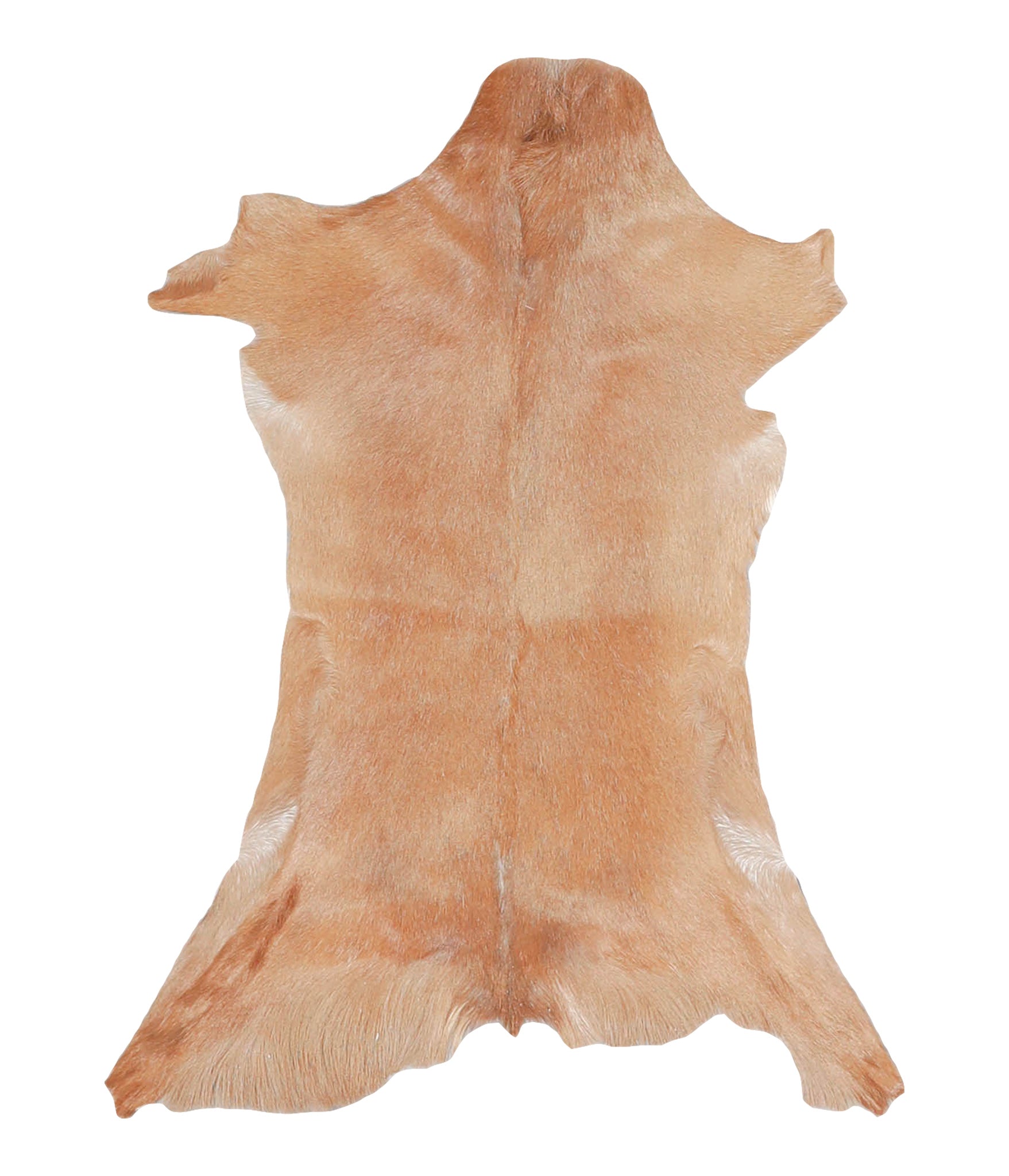 Goatskin #A27793