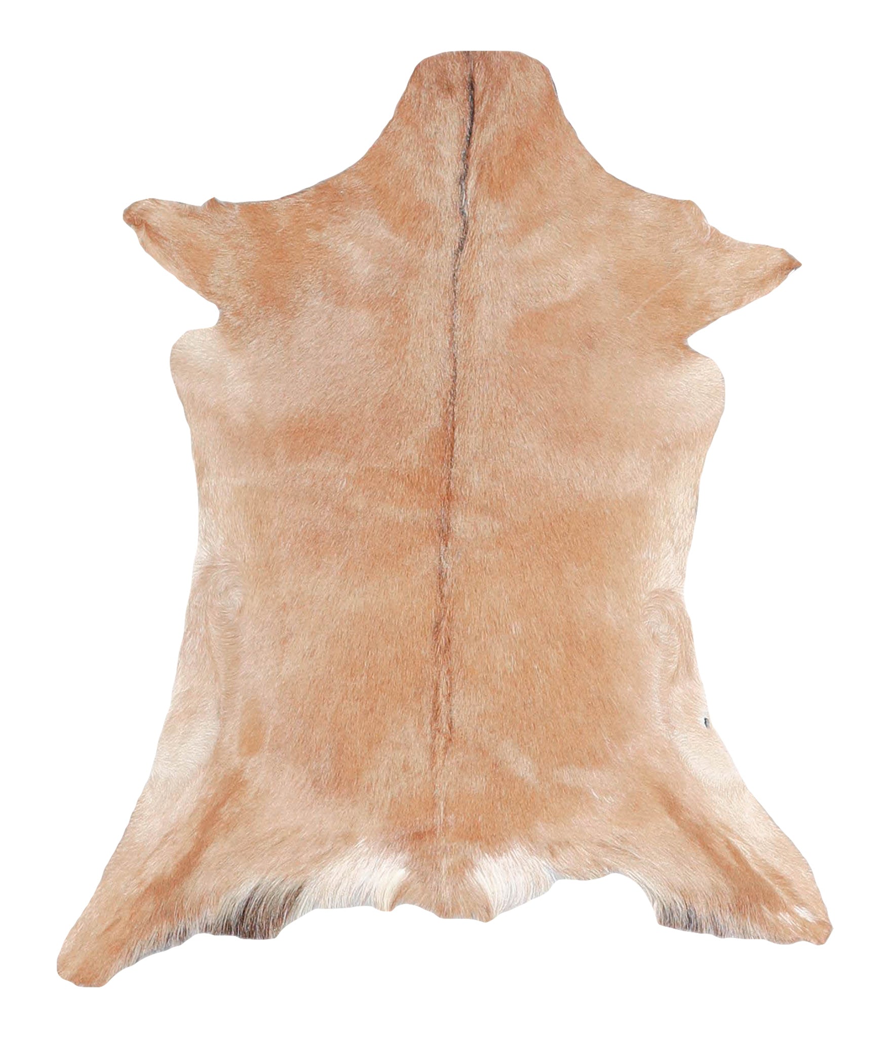 Goatskin #A27794