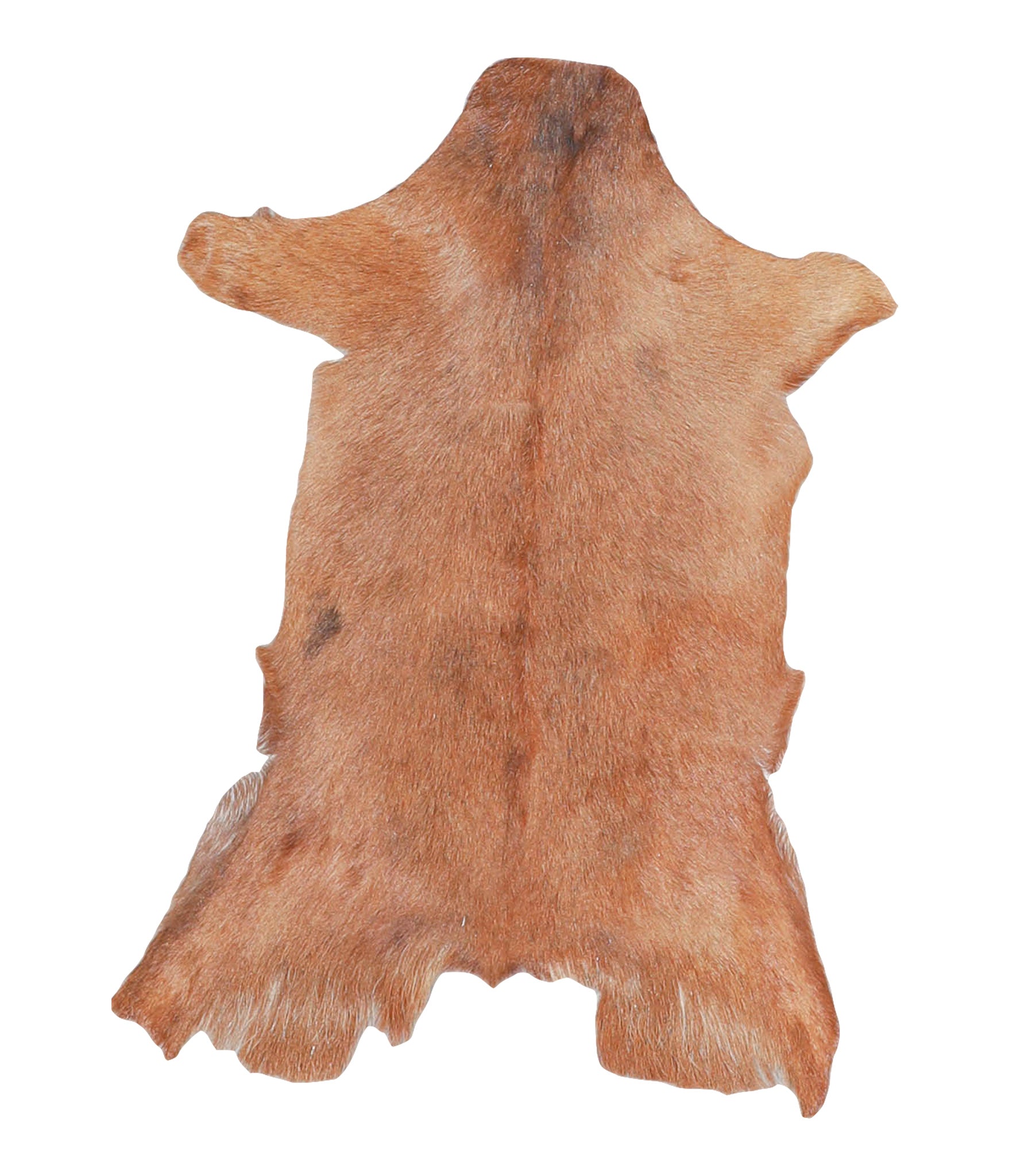 Goatskin #A27798